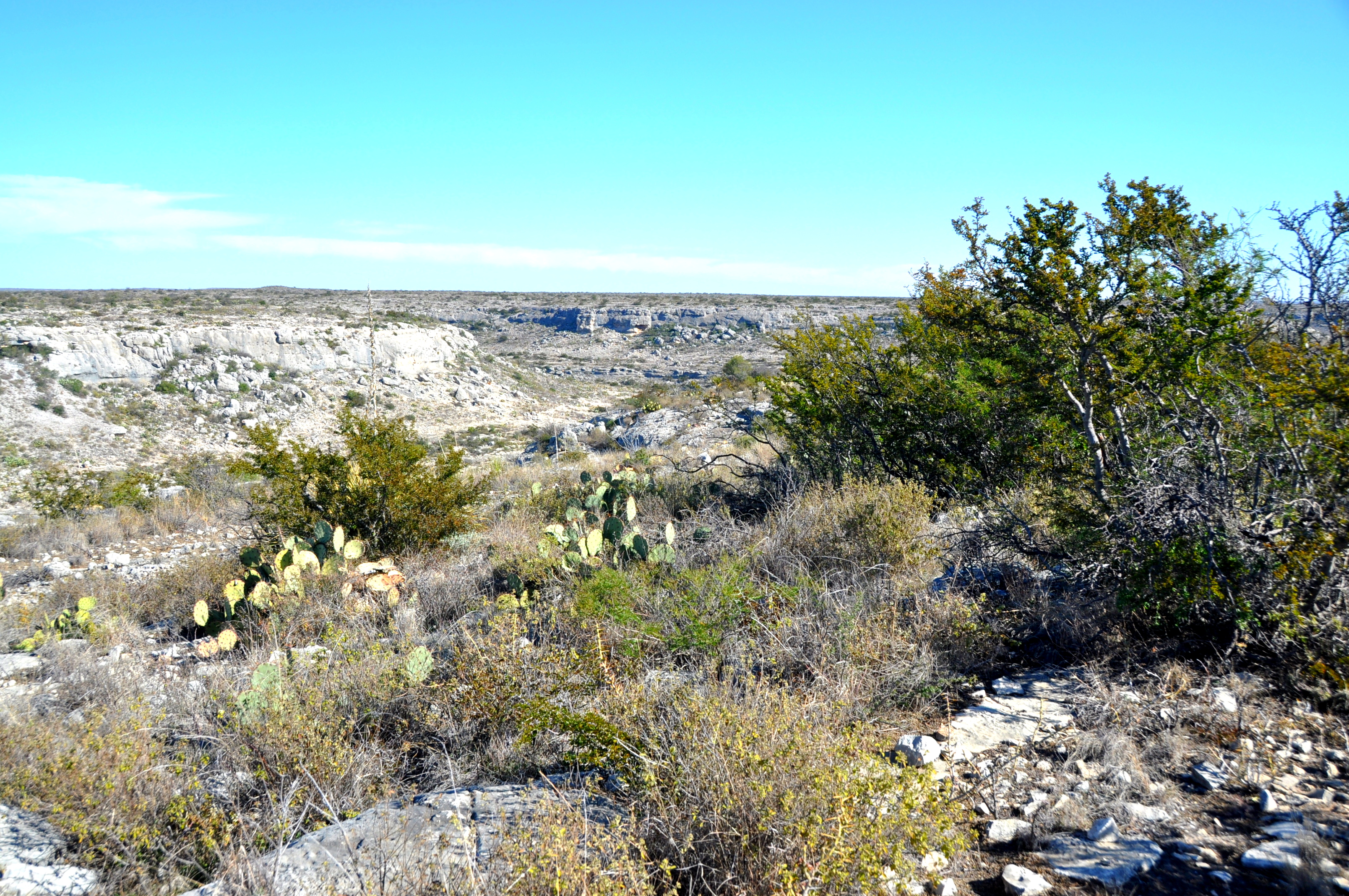 Pecos Canyon Ranch, photo 10