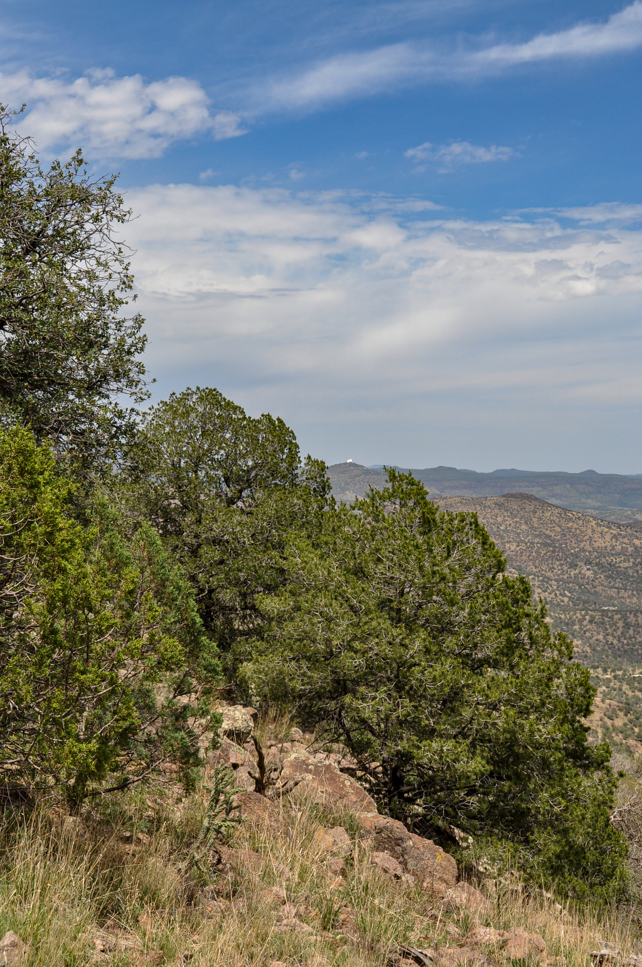 Skyline Ridge Ranch, photo 19