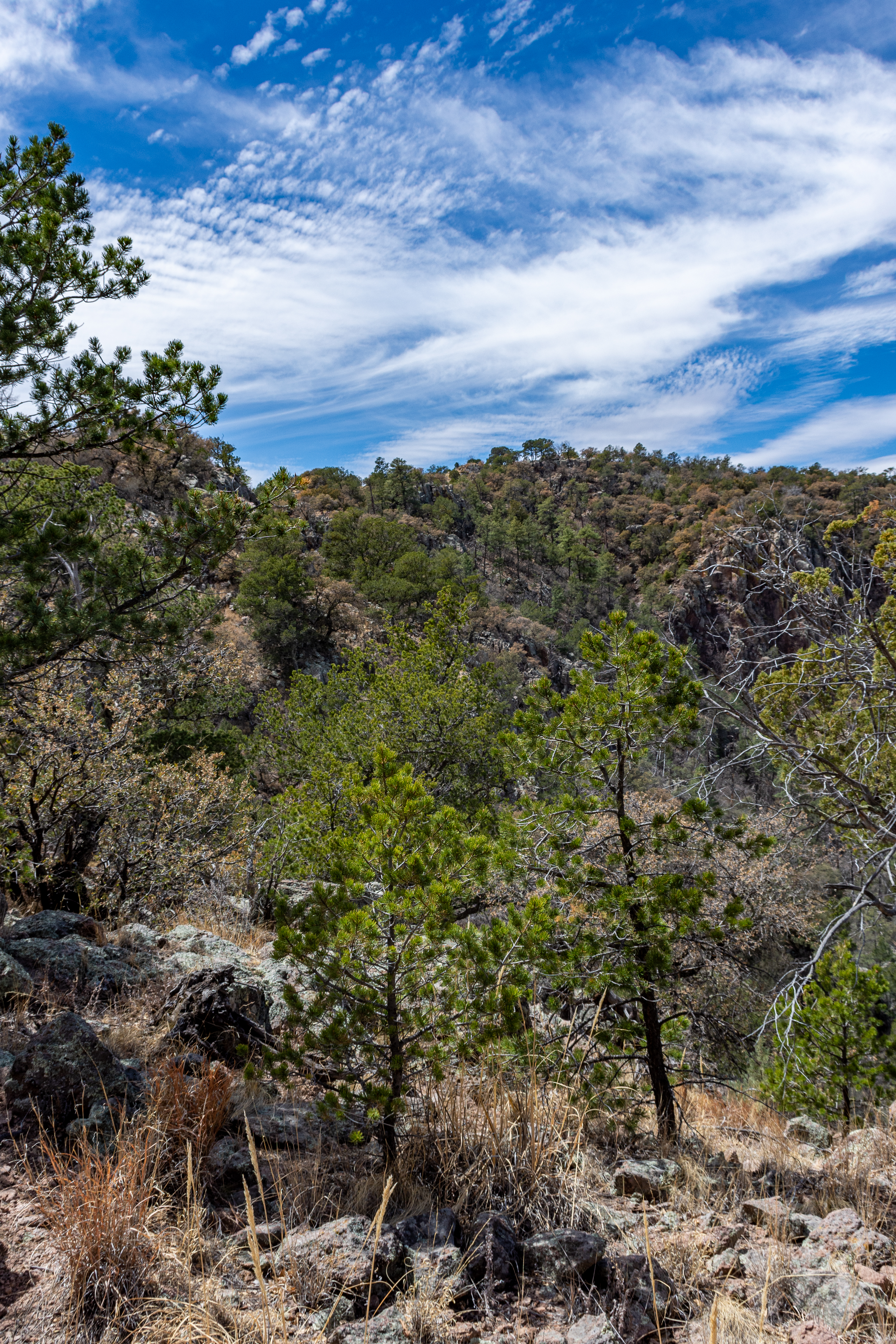 Skyline Ridge Ranch, photo 20