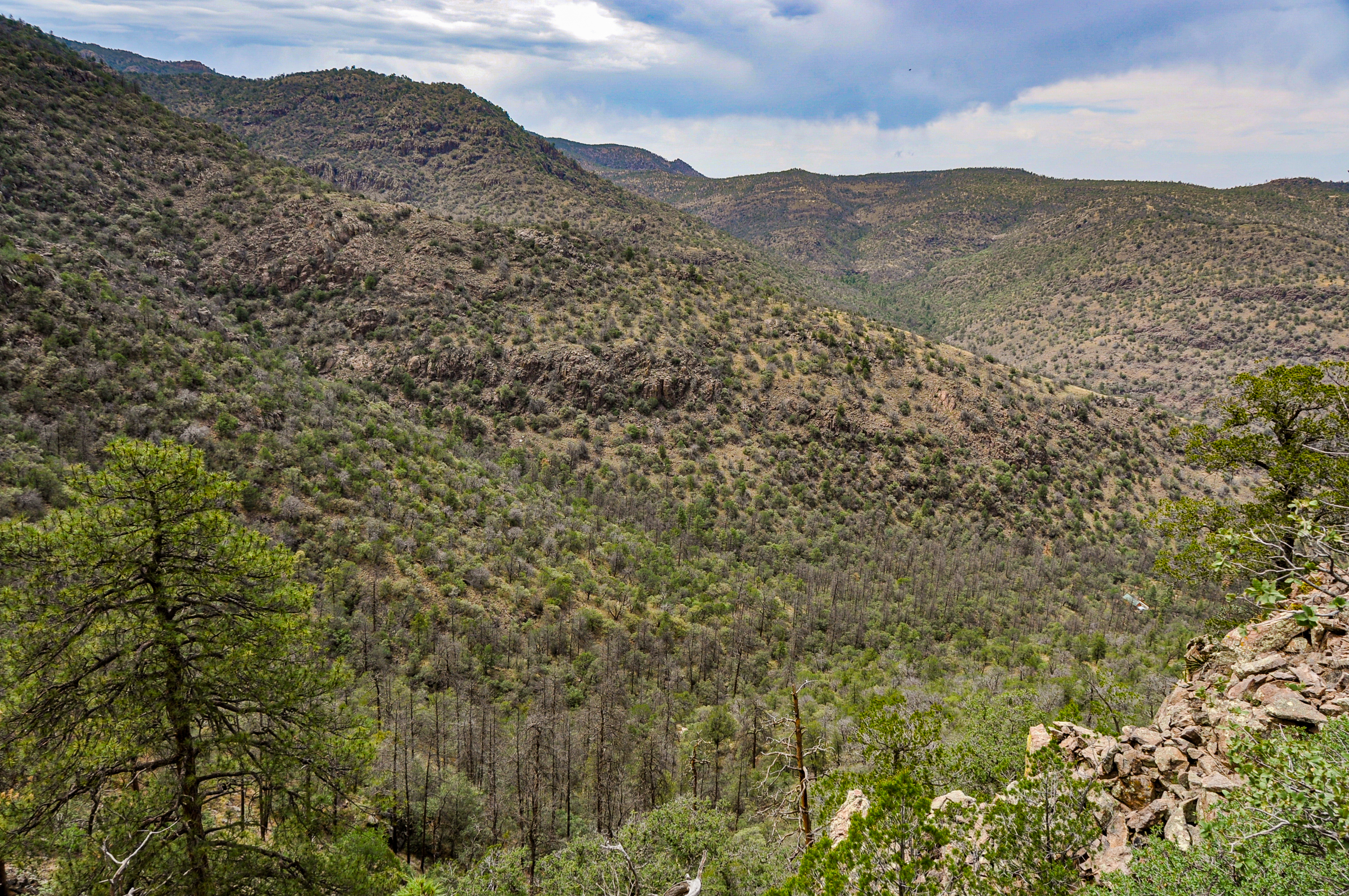Skyline Ridge Ranch, photo 21