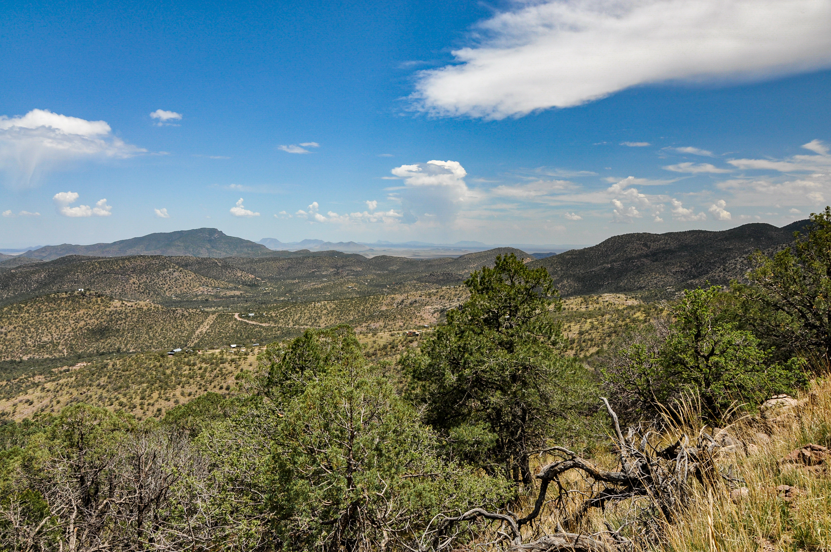 Skyline Ridge Ranch, photo 22