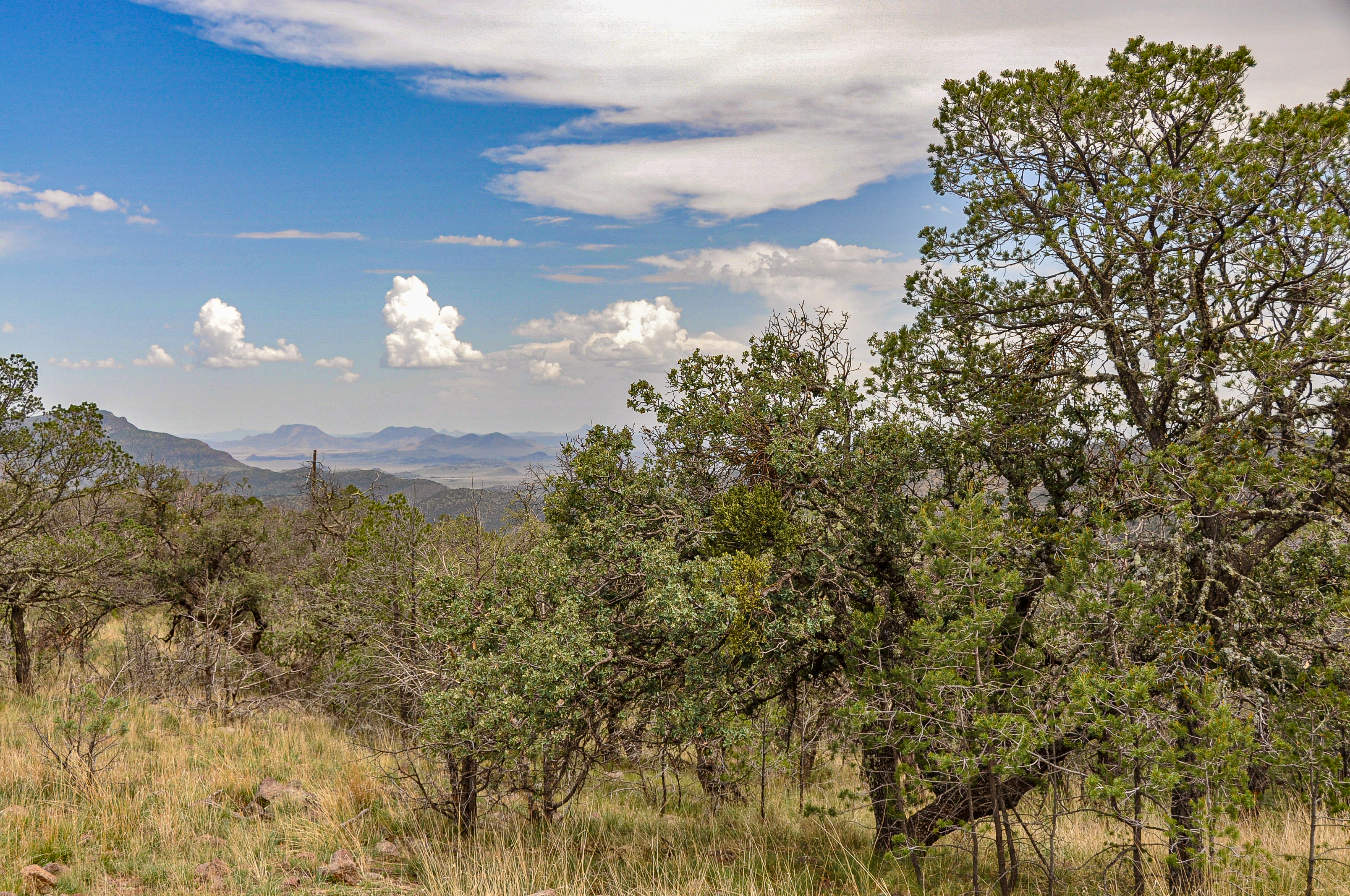 Skyline Ridge Ranch, photo 23