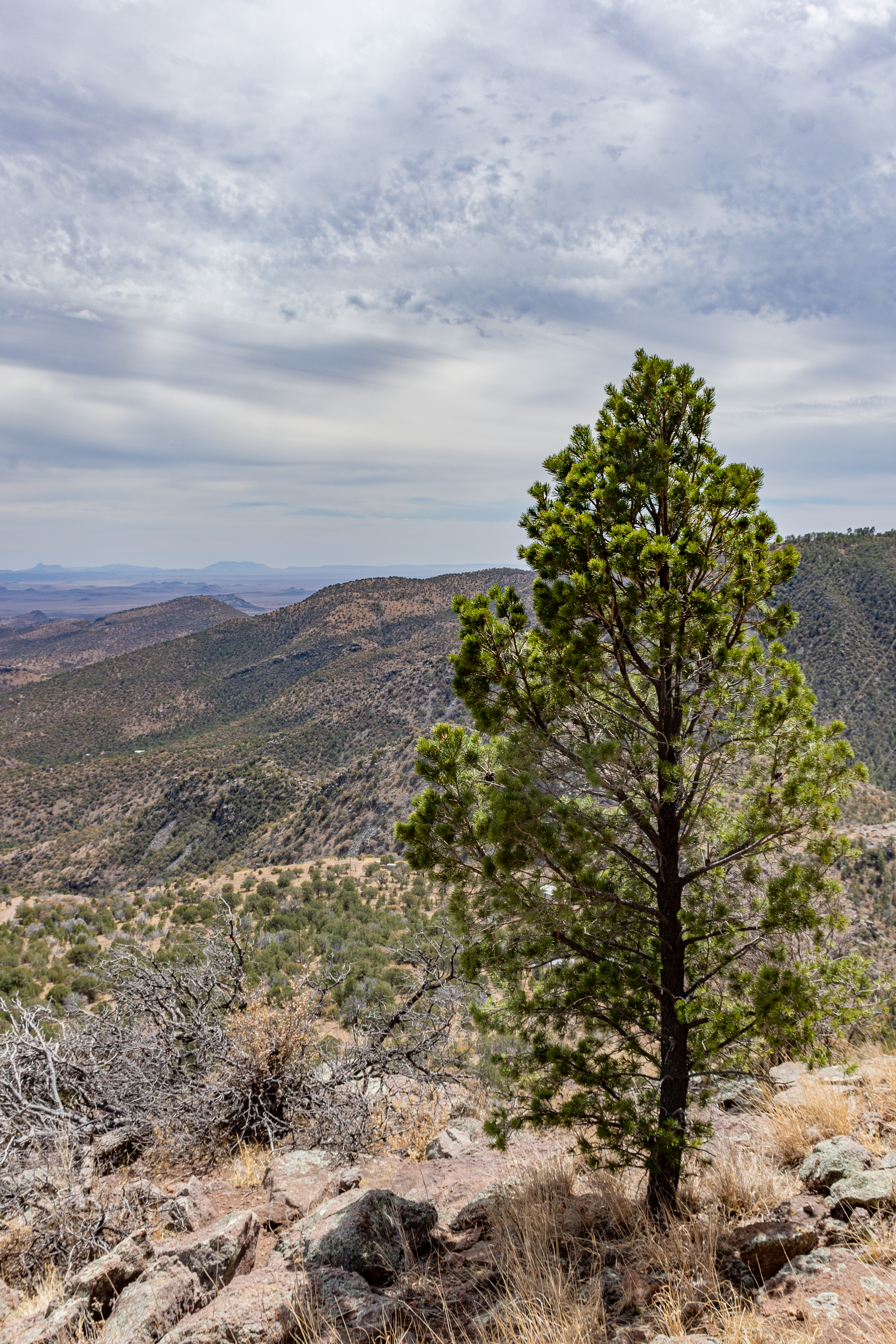 Skyline Ridge Ranch, photo 24
