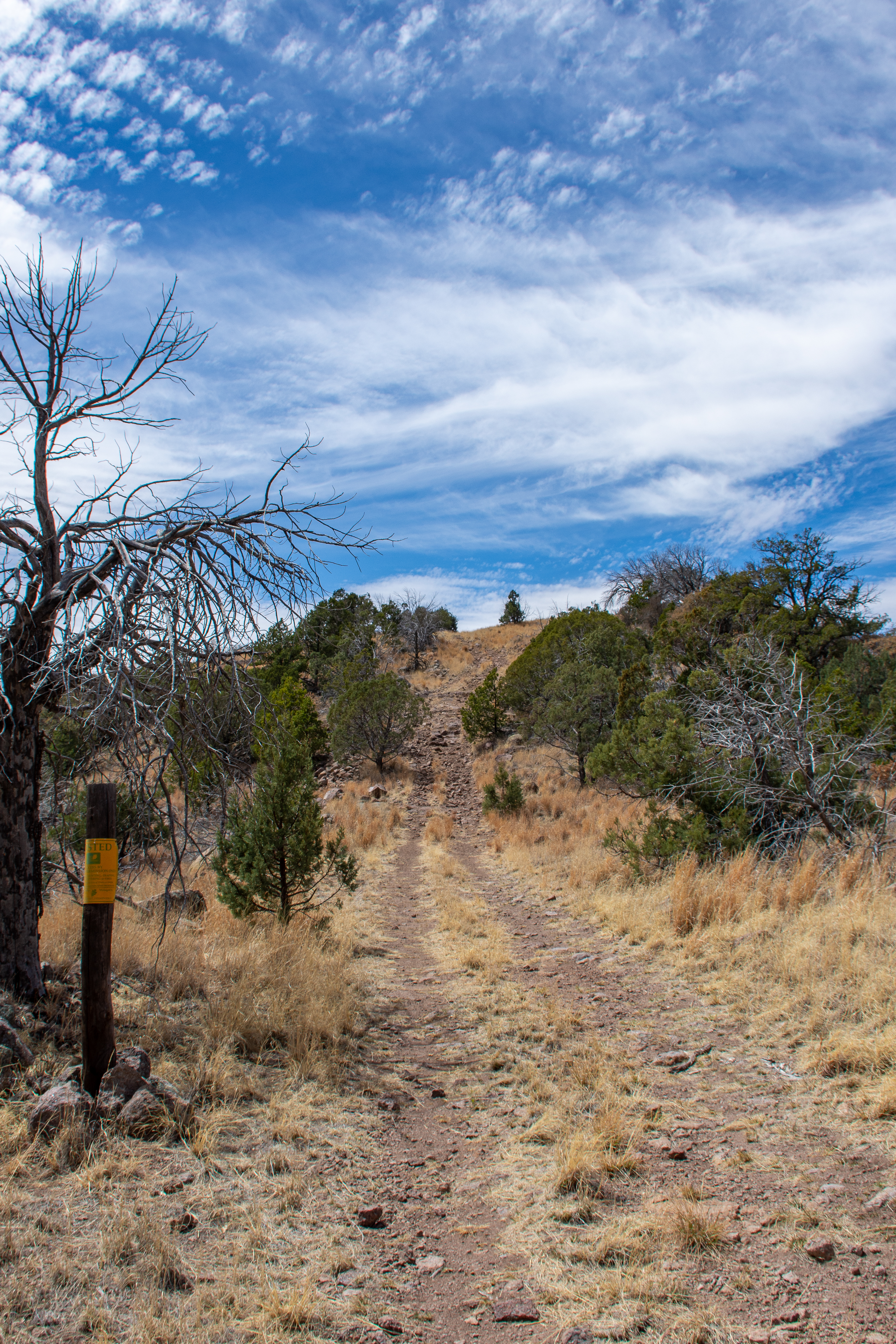 Skyline Ridge Ranch, photo 25