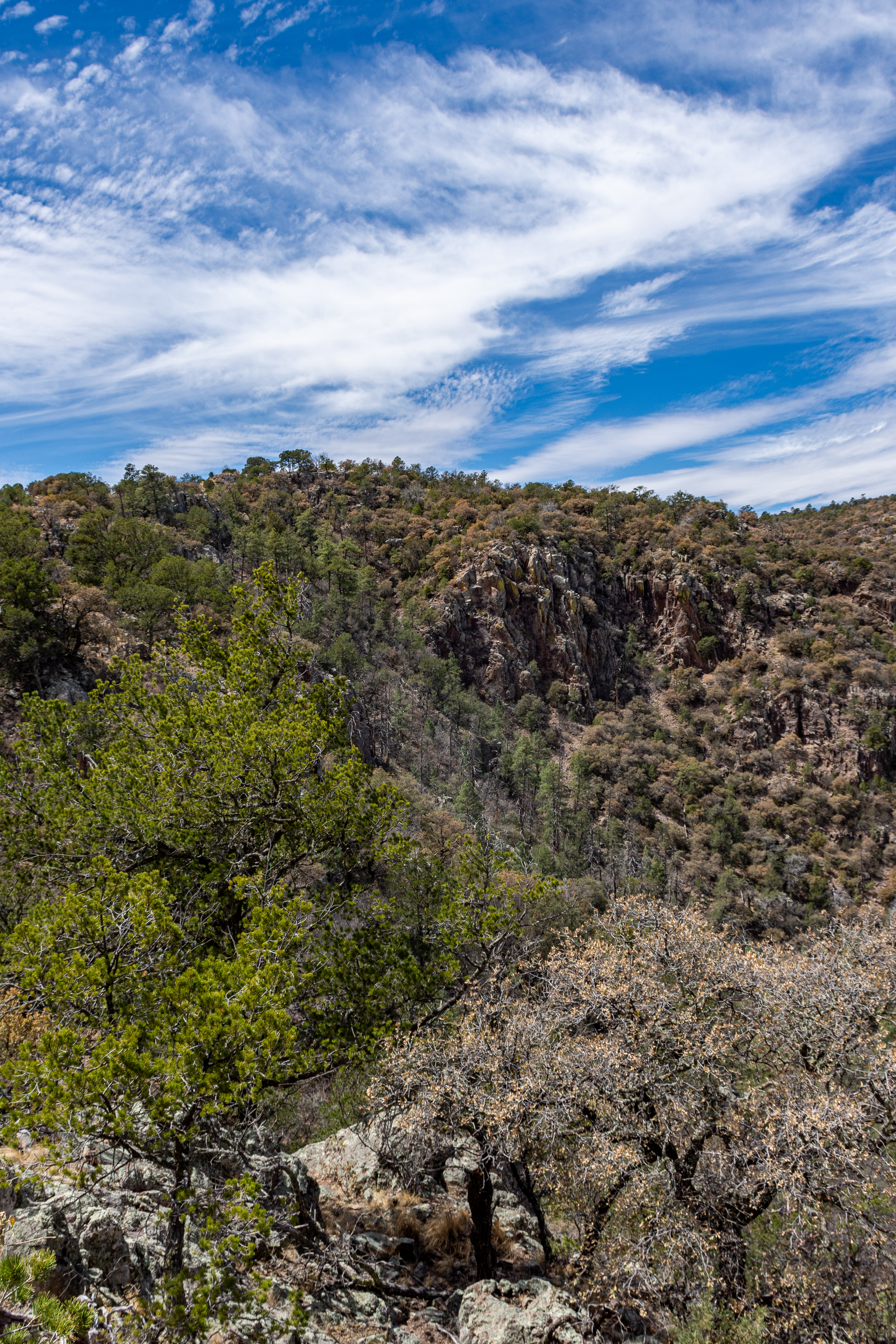 Skyline Ridge Ranch, photo 4