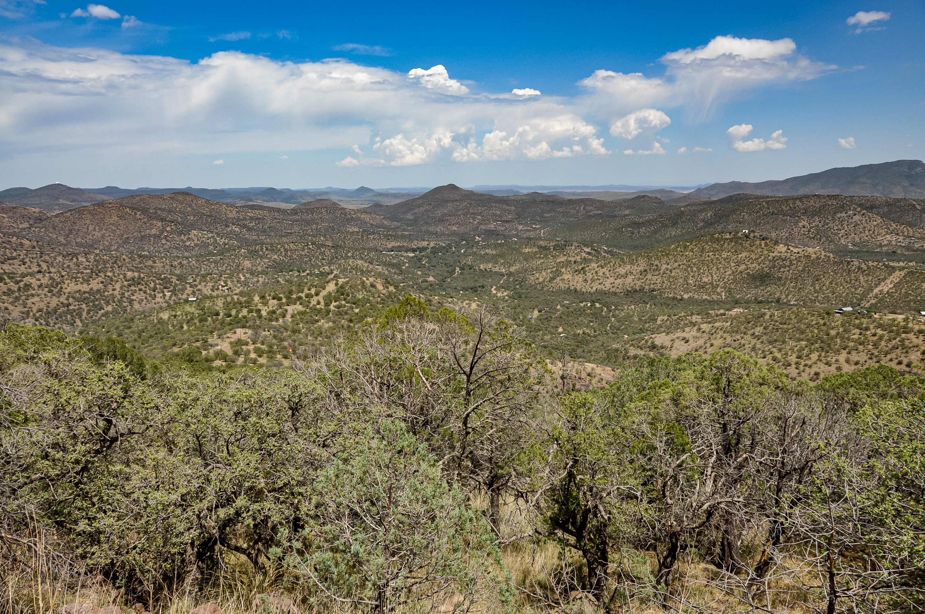Skyline Ridge Ranch, photo 6