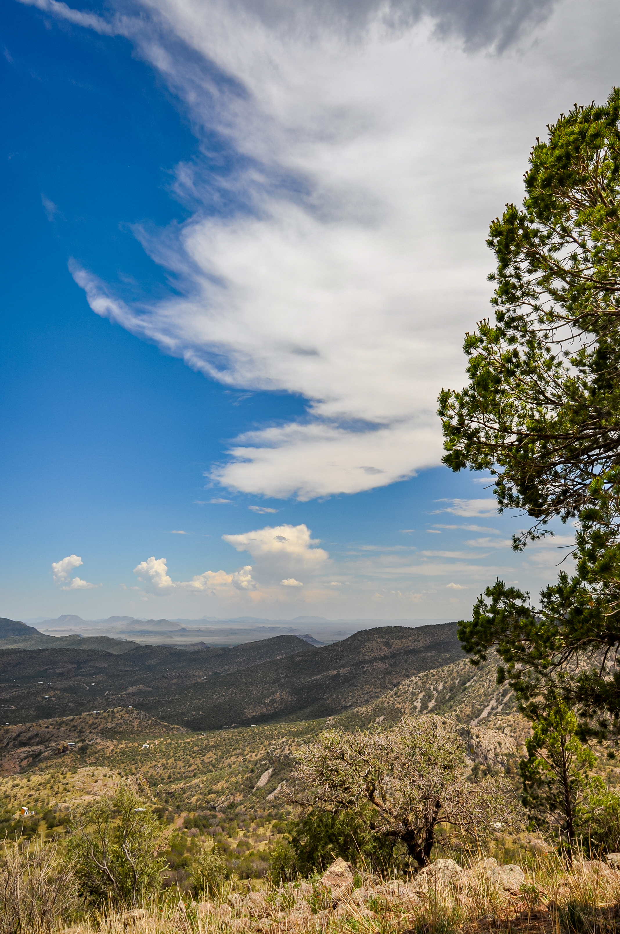 Skyline Ridge Ranch, photo 8