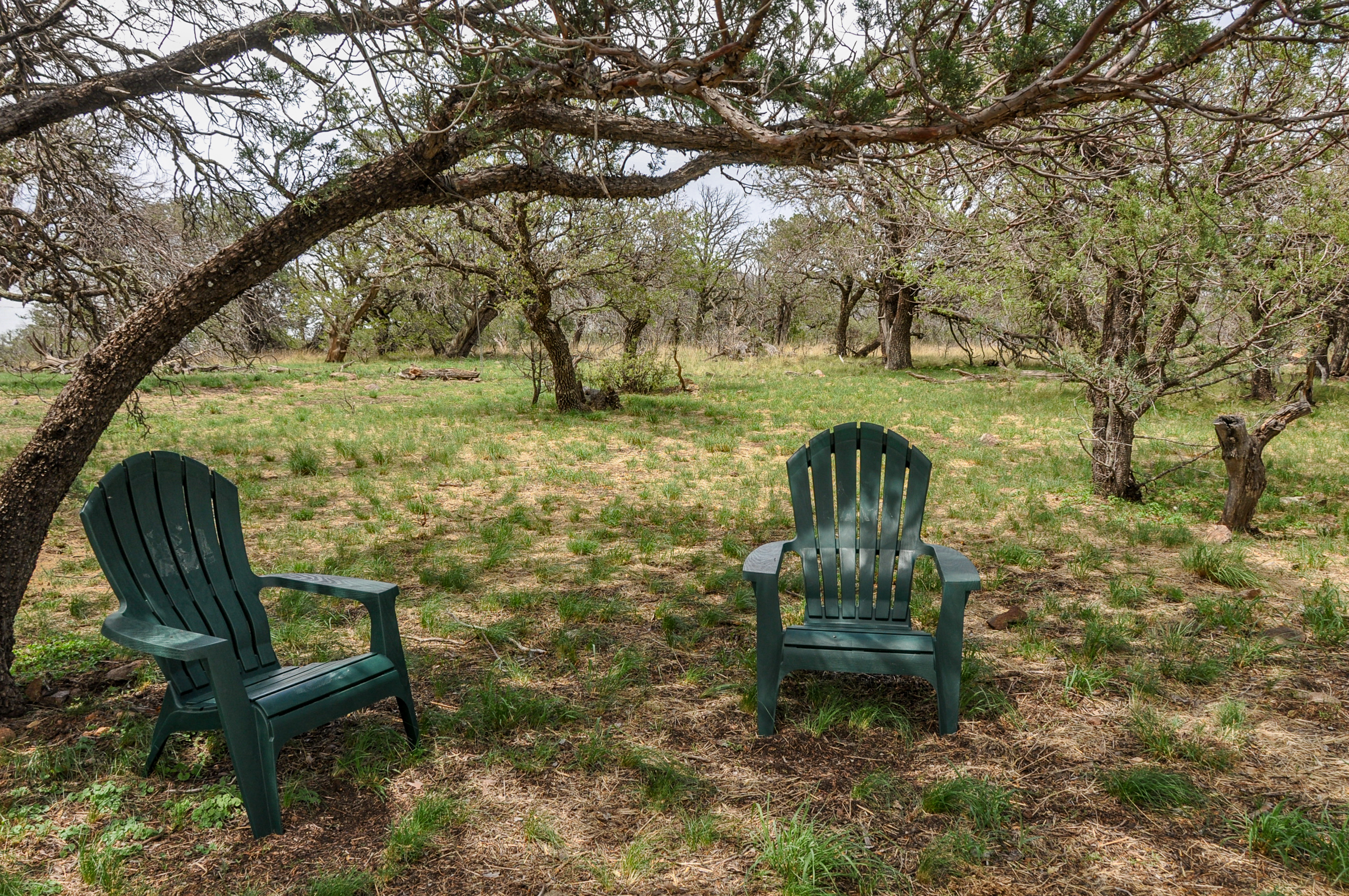 Skyline Ridge Ranch, photo 11