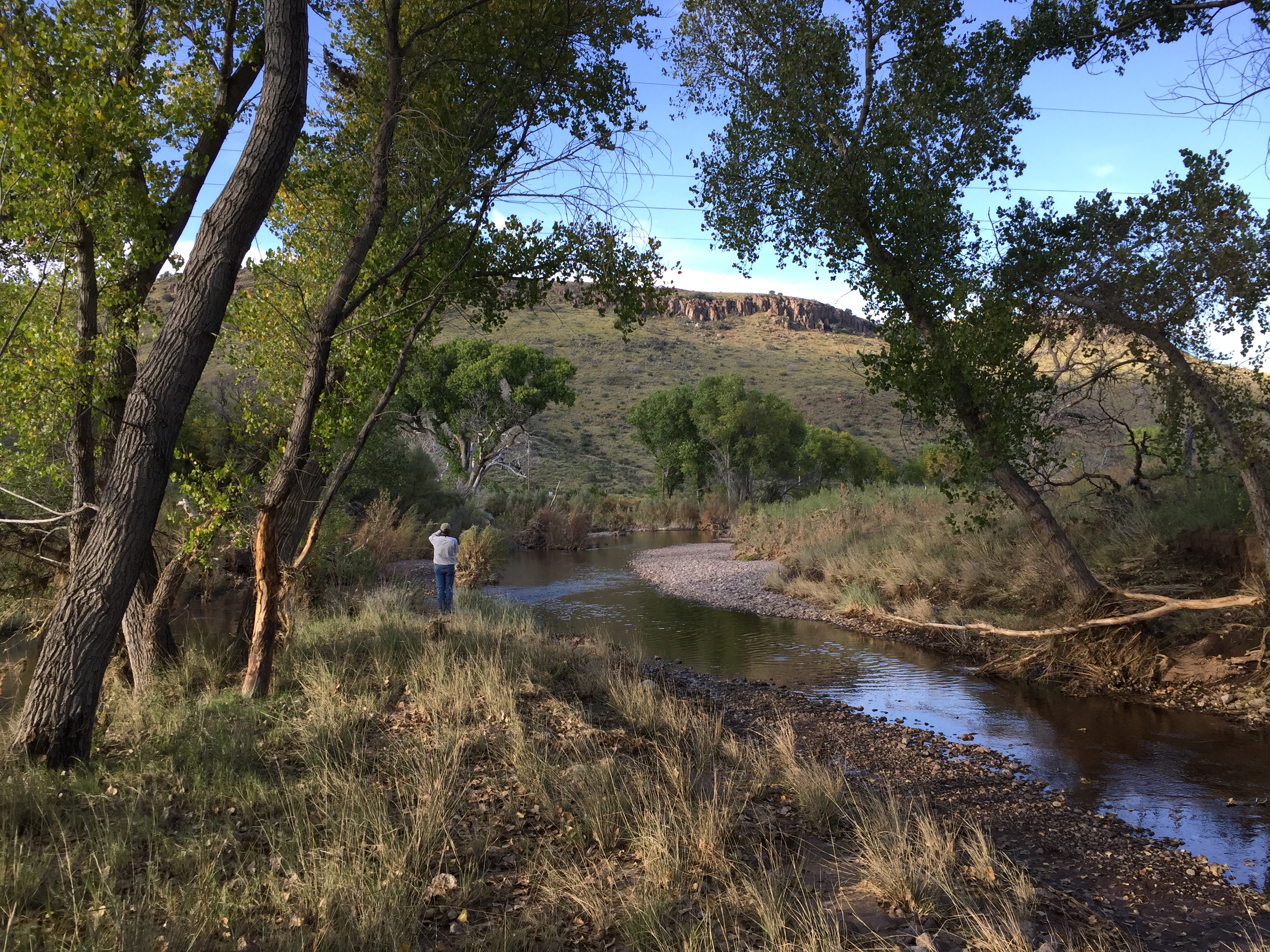Maya’s Creek Crossing, photo 8