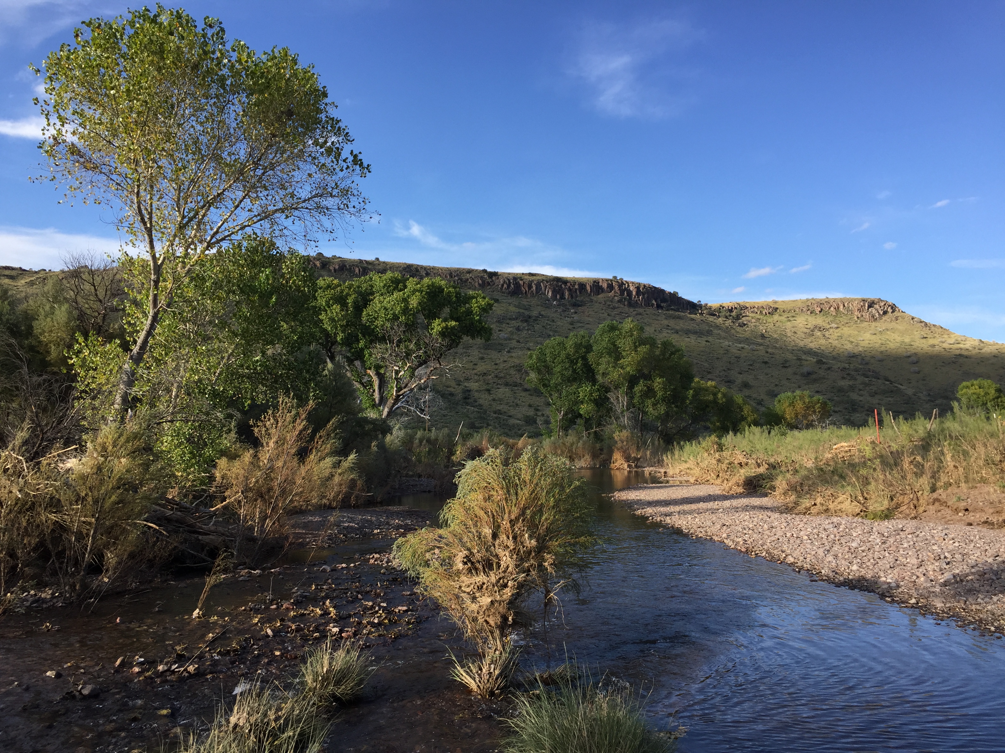 Maya’s Creek Crossing