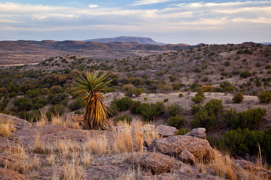 Panther Rock Ranch