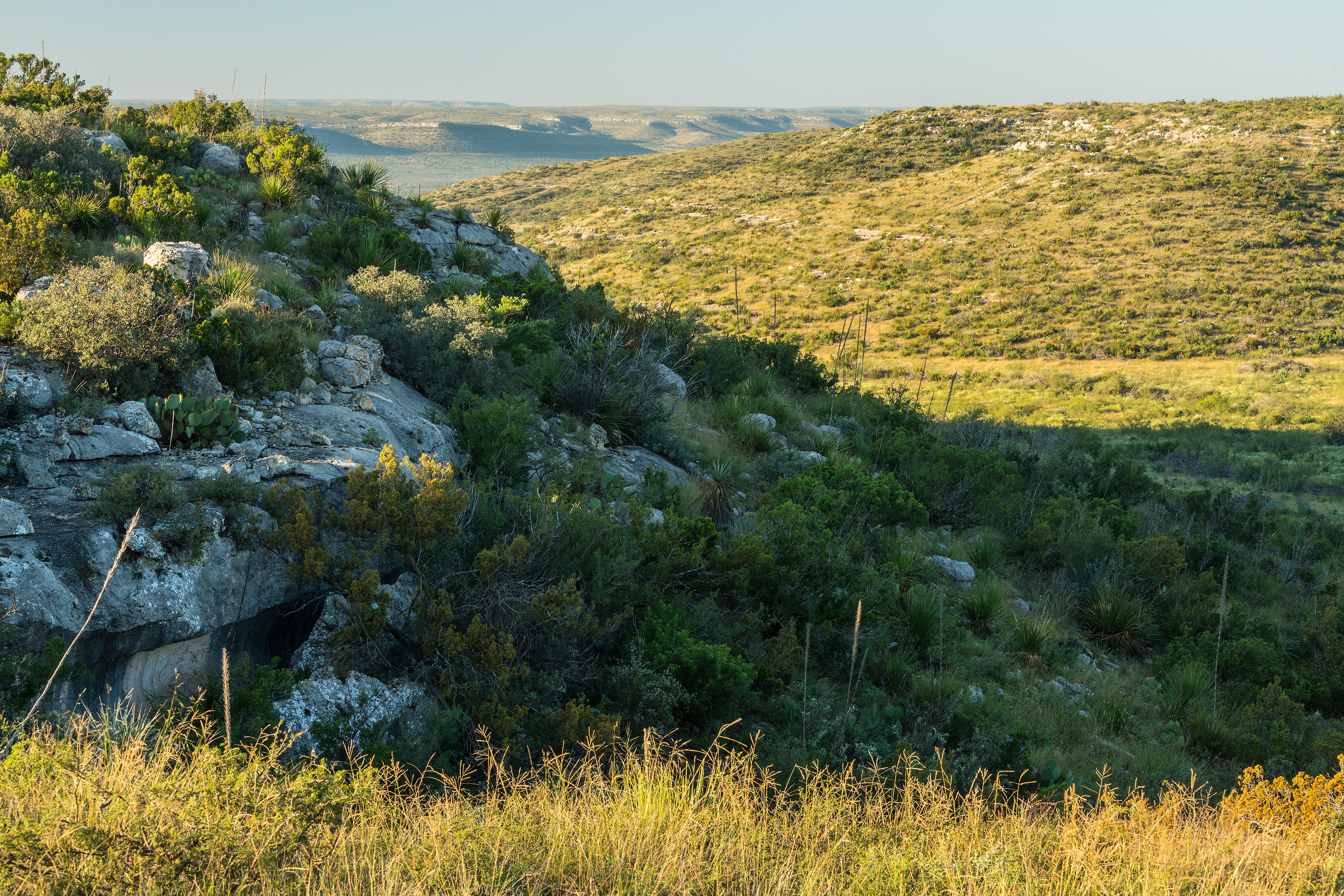 High Mesa Ranch