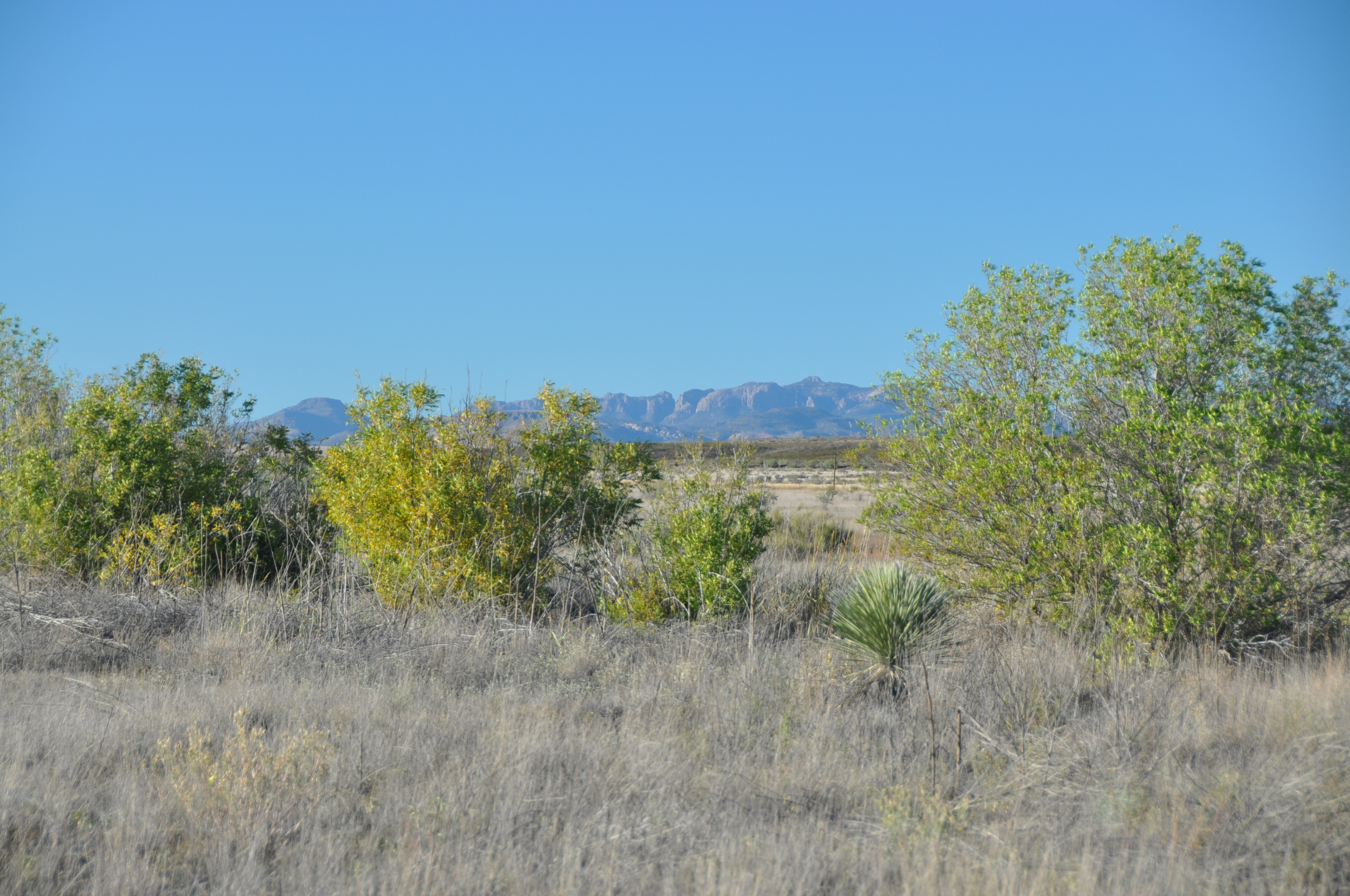 Marfa Vista Ranch, photo 3