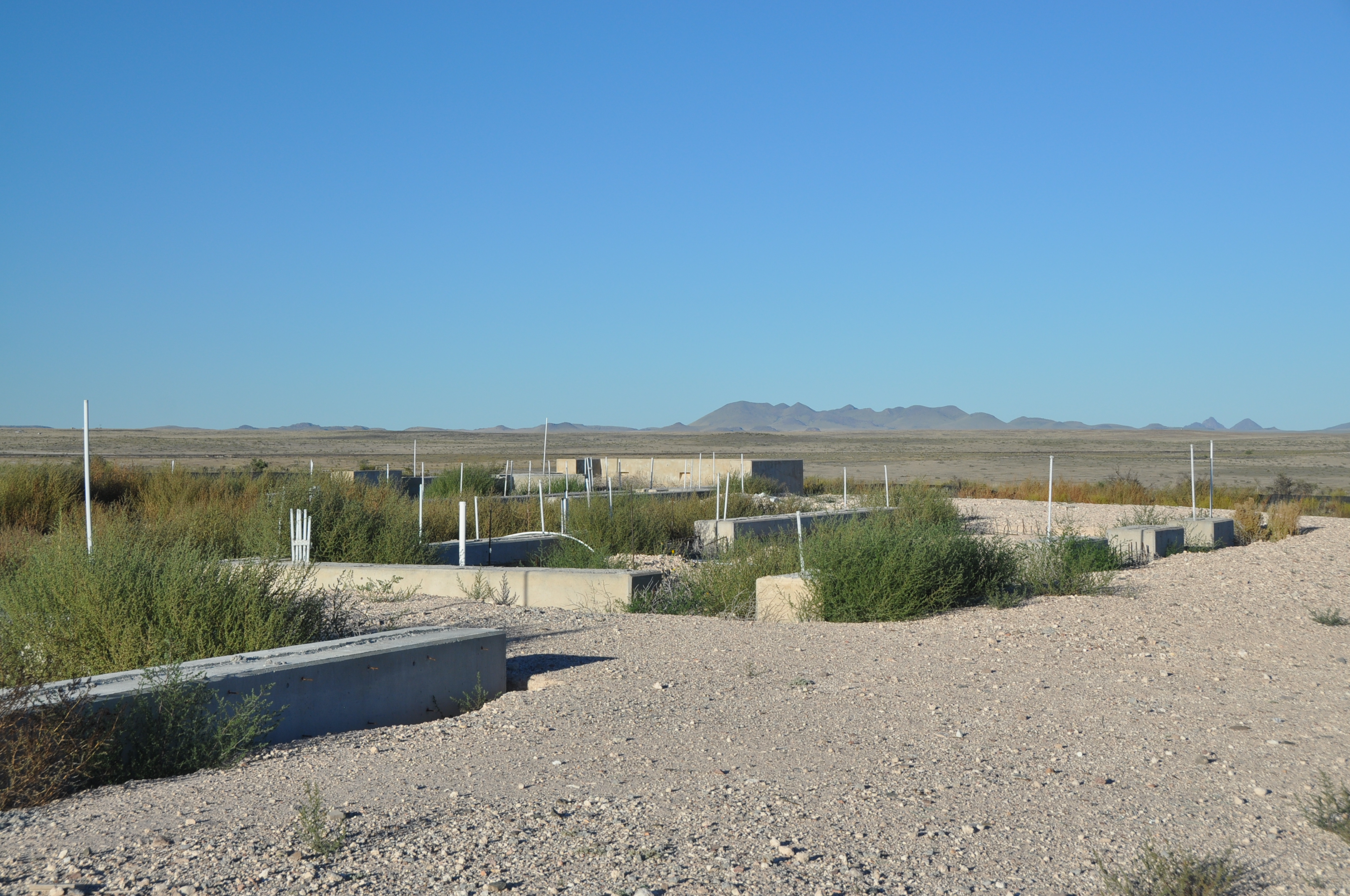 Marfa Vista Ranch, photo 4