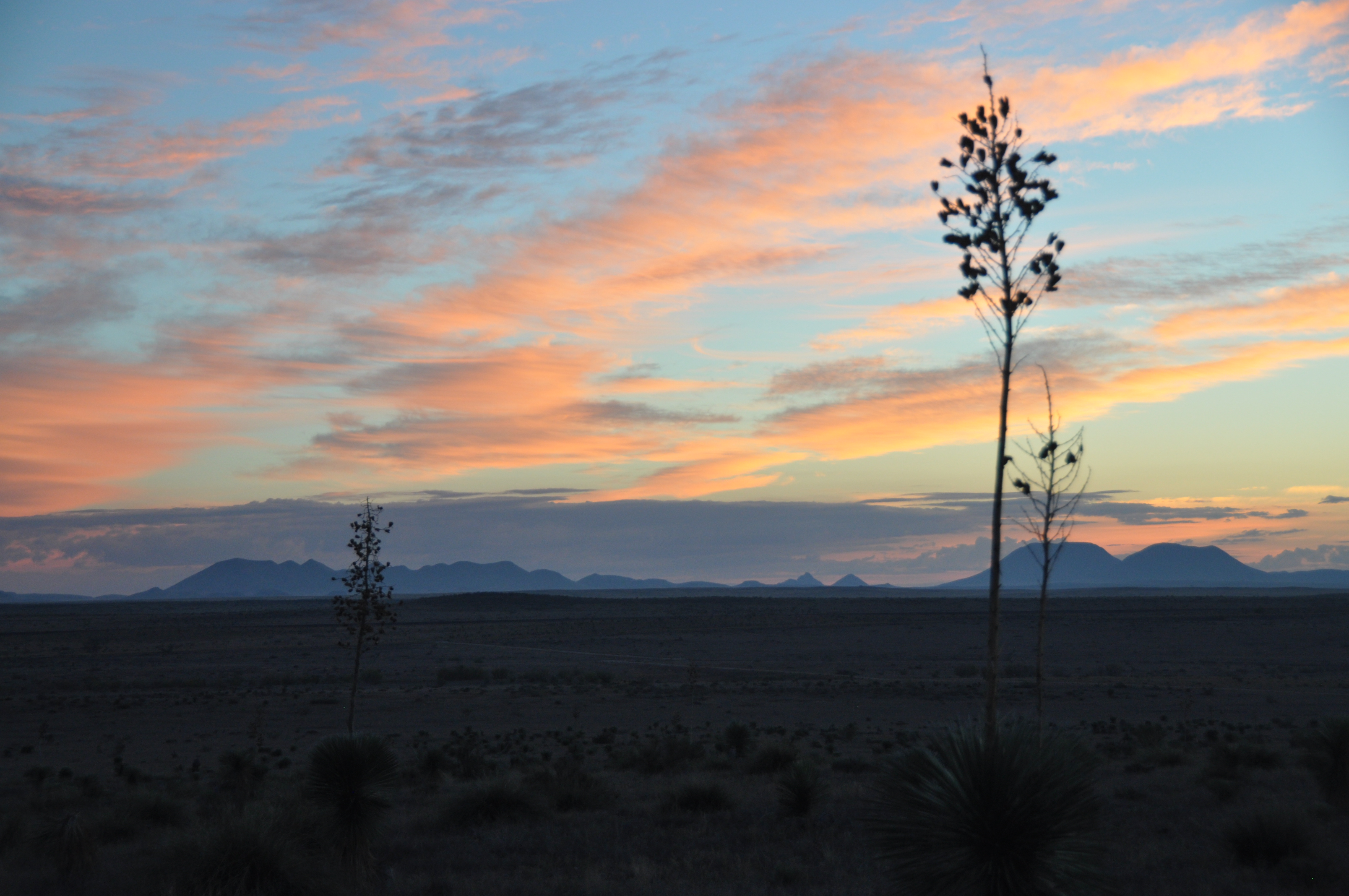Marfa Vista Ranch