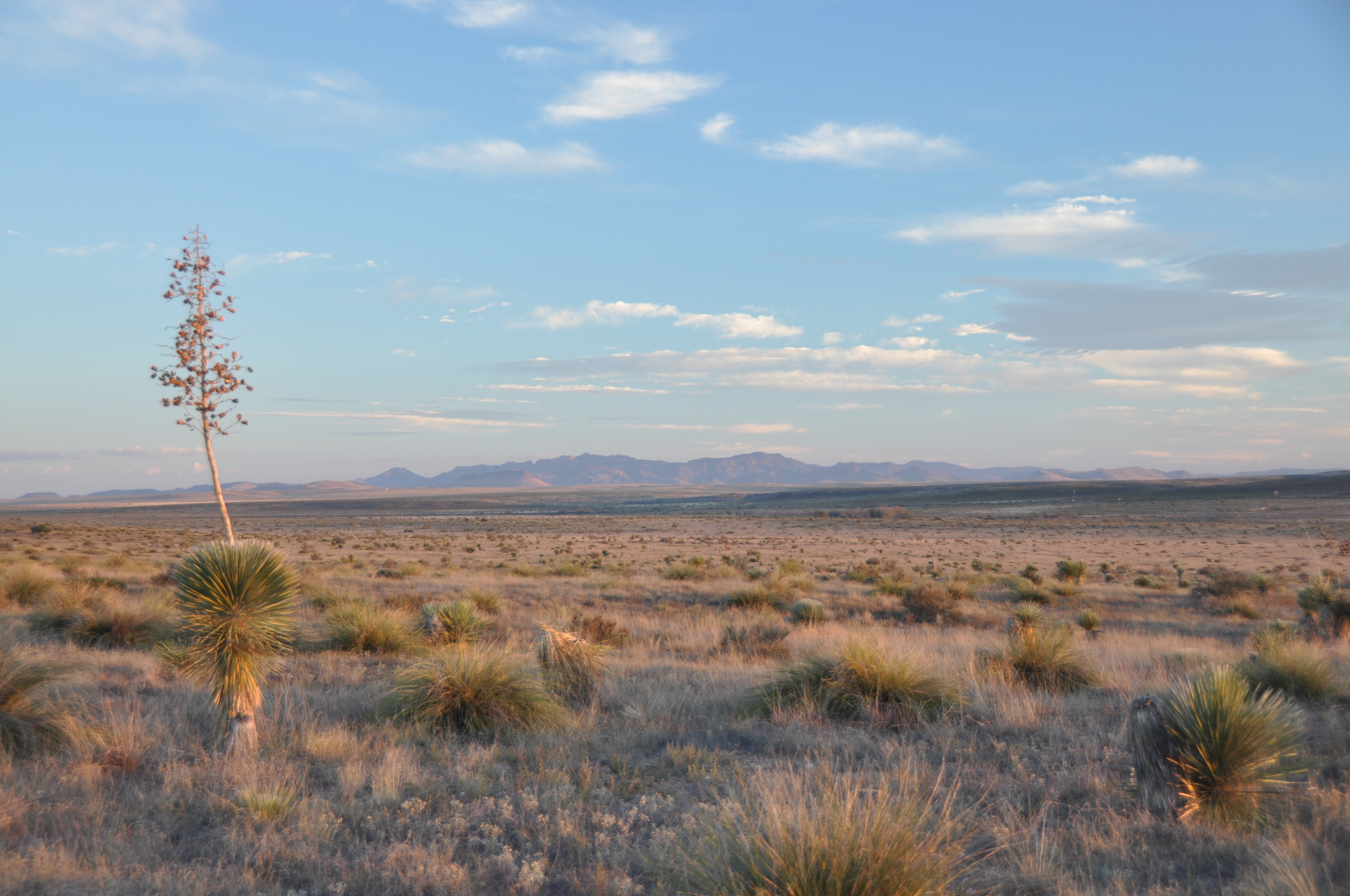 Marfa Vista Ranch, photo 2