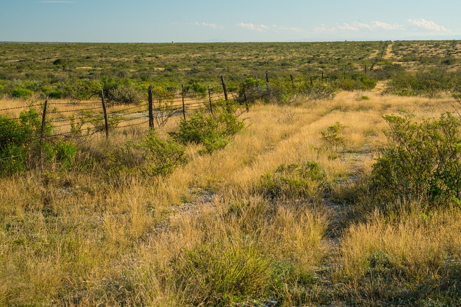 North Cedar Creek Ranch