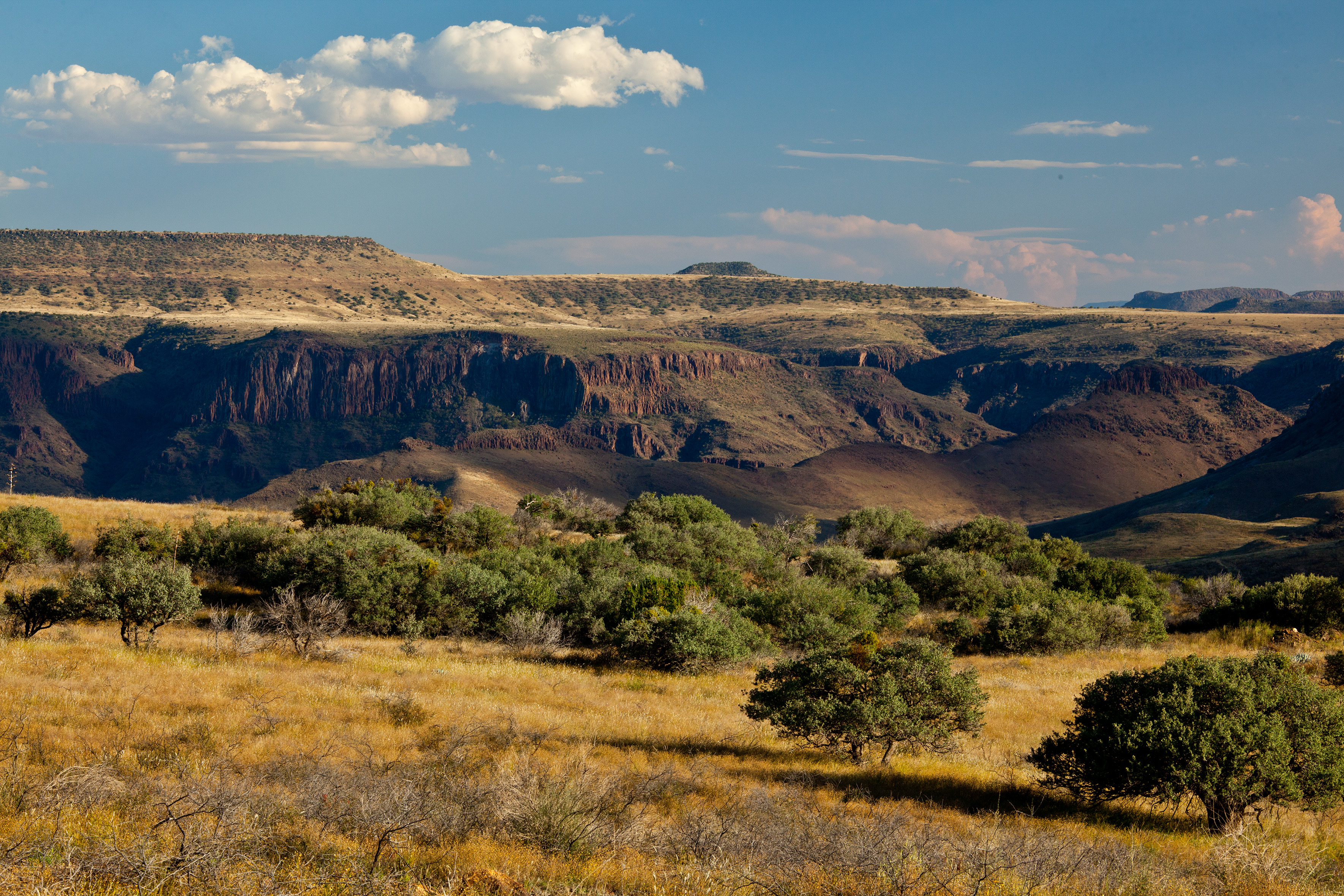 Lion Mountain Ranch