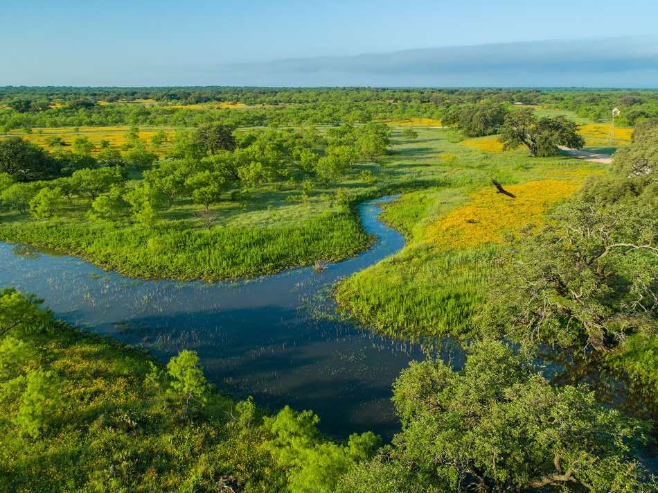 Ford Ranch