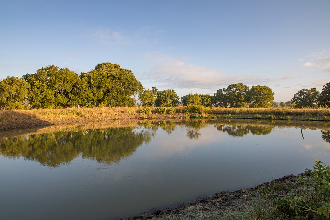 Jenschke Lane Farm