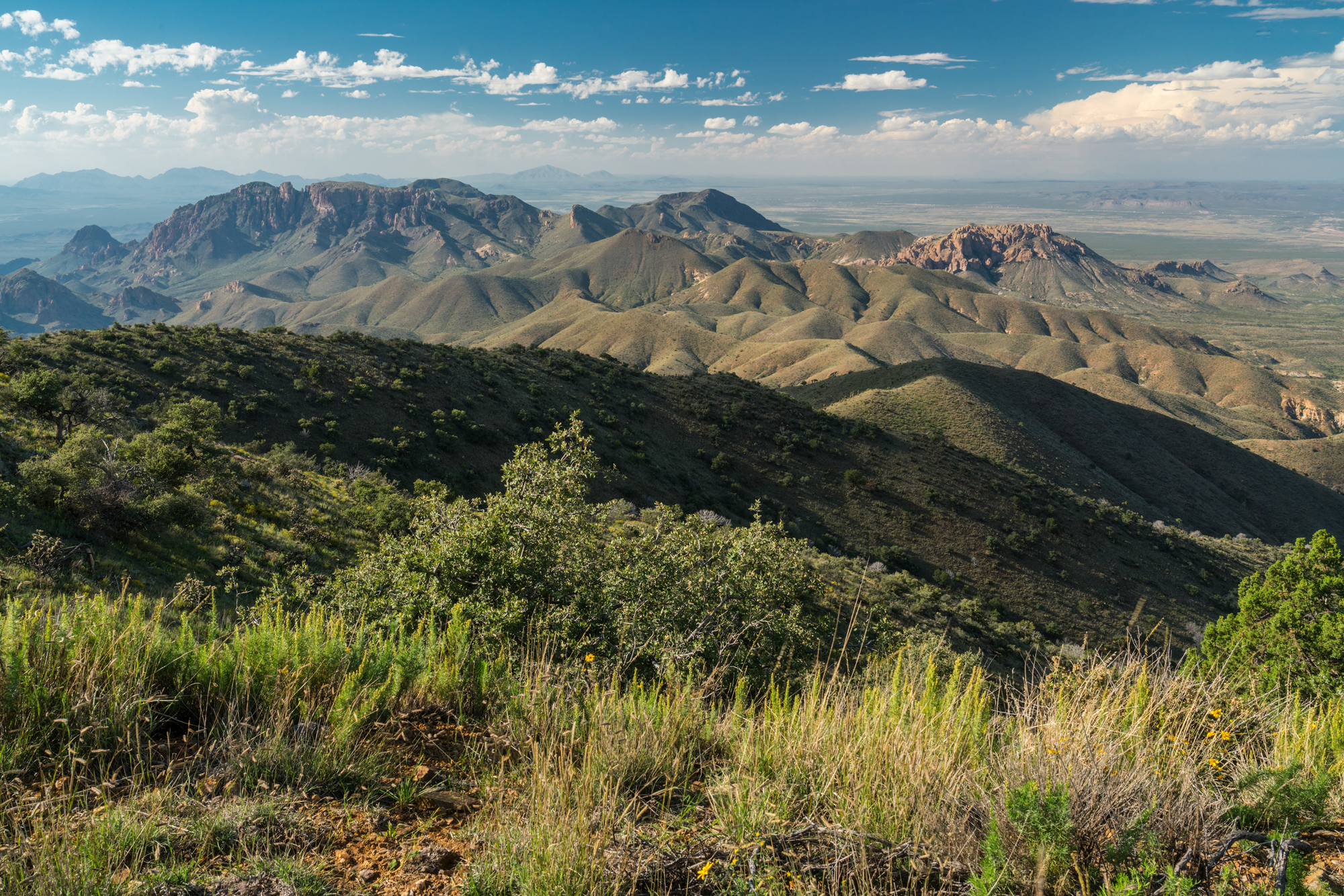 Eagle Mountain & Carrizo Mountain Ranches, photo 5