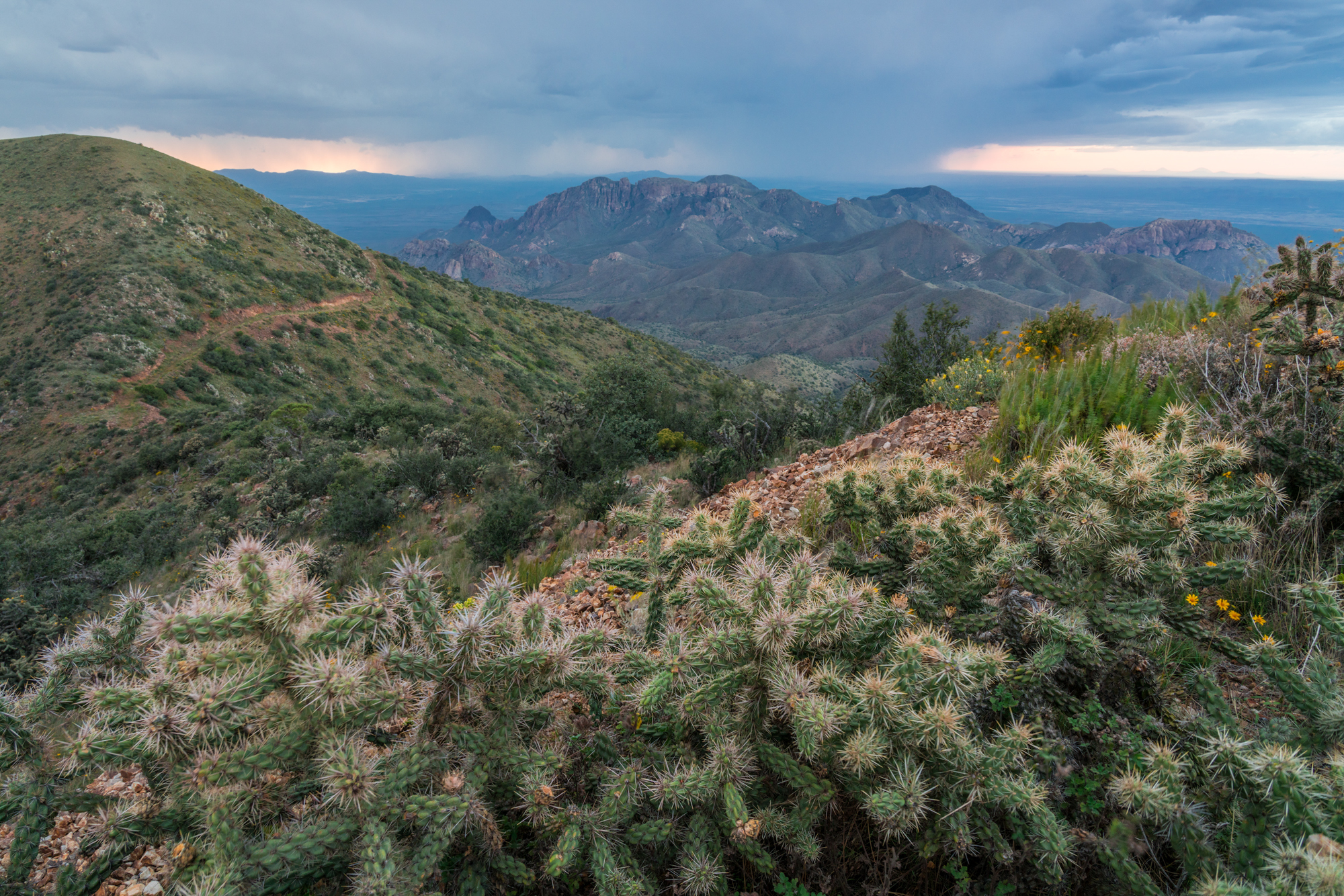 Eagle Mountain & Carrizo Mountain Ranches, photo 8