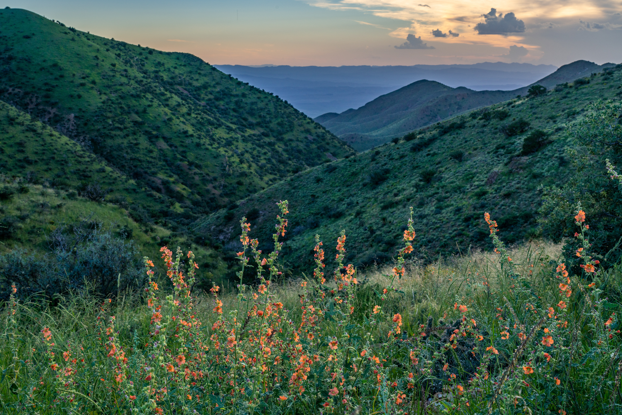 Eagle Mountain & Carrizo Mountain Ranches, photo 9