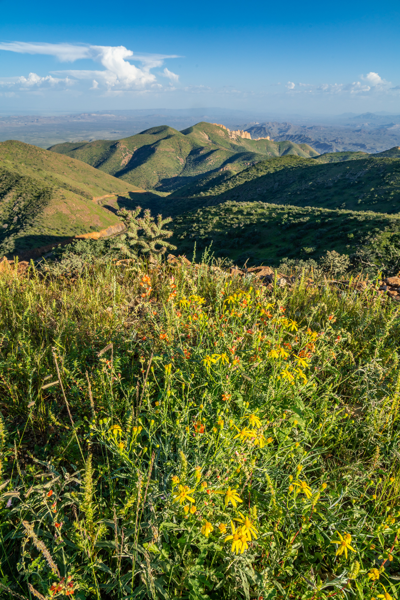 Eagle Mountain & Carrizo Mountain Ranches, photo 10