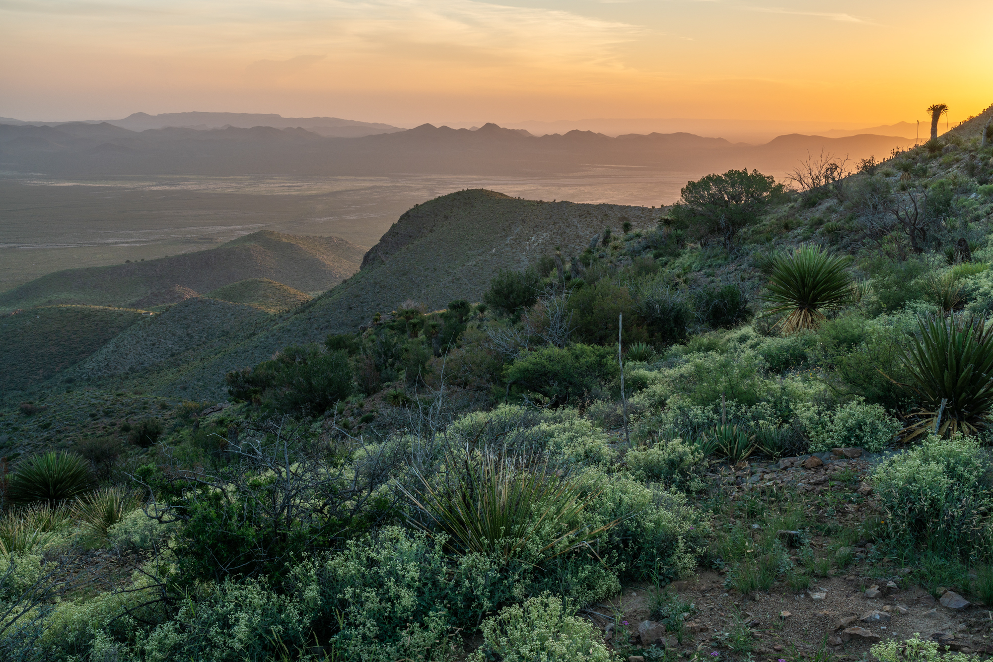 Eagle Mountain & Carrizo Mountain Ranches, photo 12