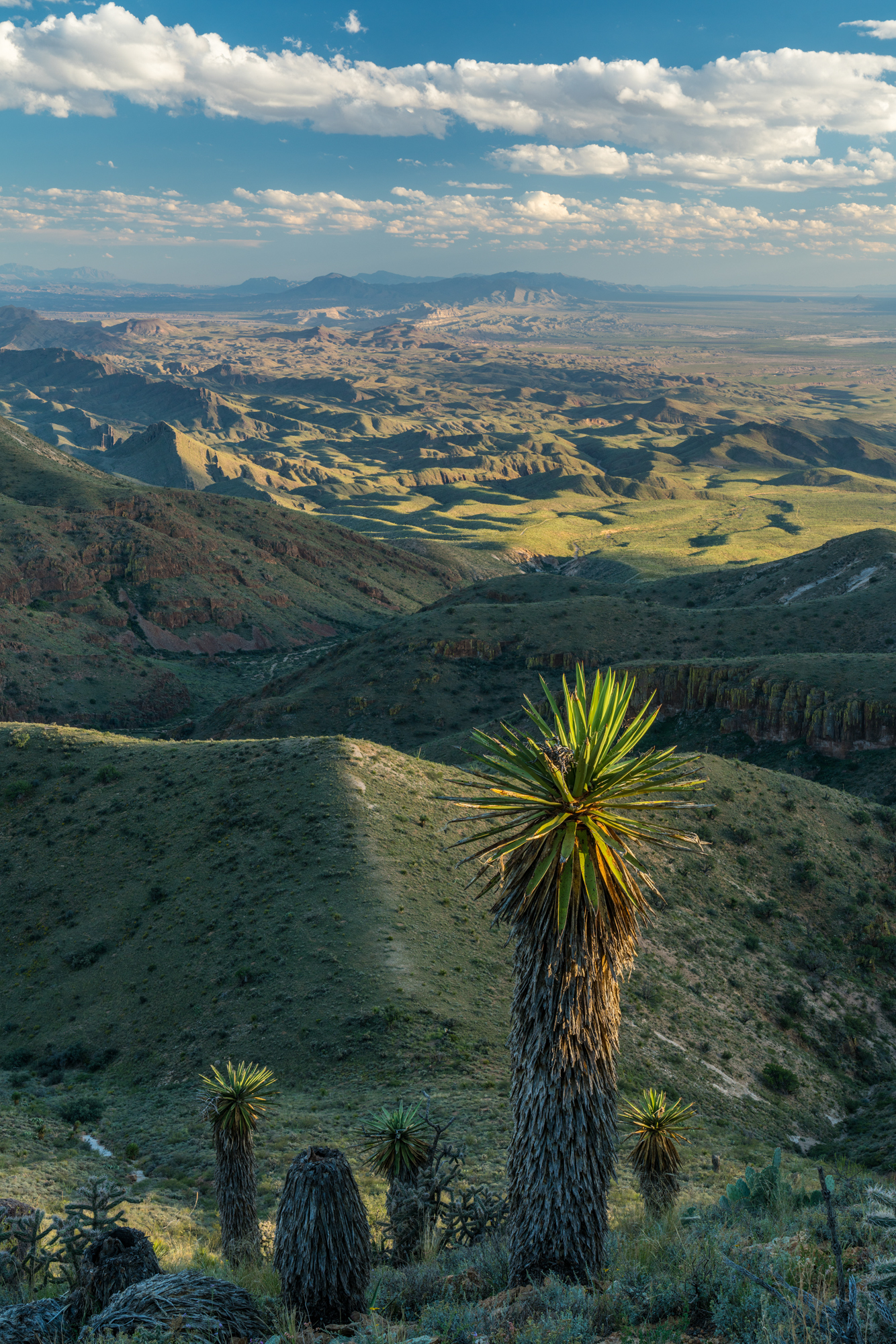 Eagle Mountain & Carrizo Mountain Ranches, photo 19