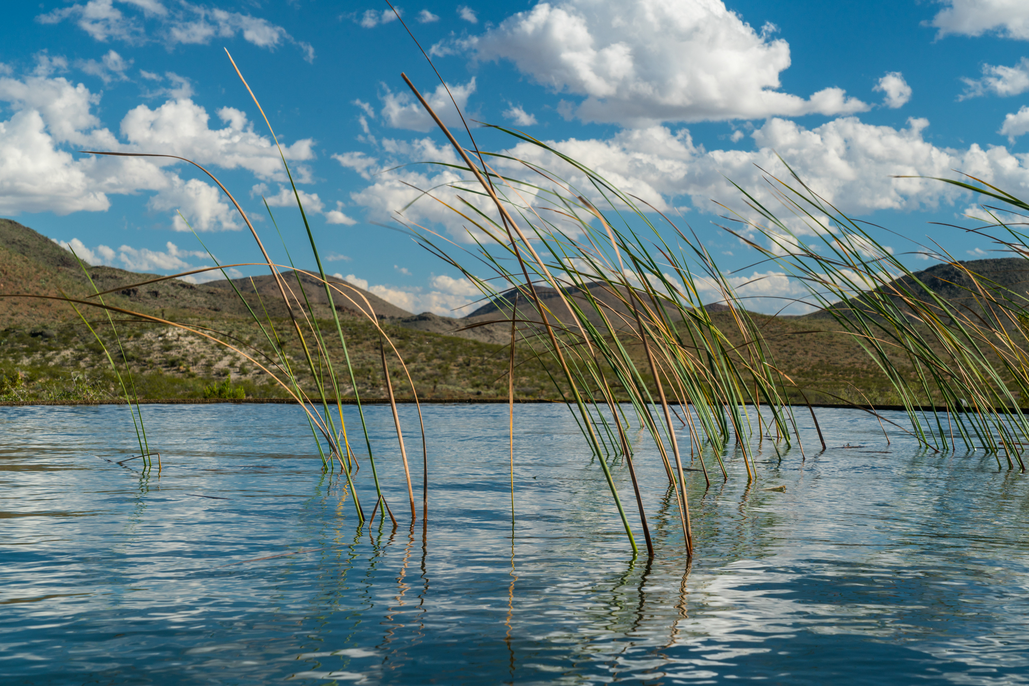 Eagle Mountain & Carrizo Mountain Ranches, photo 20