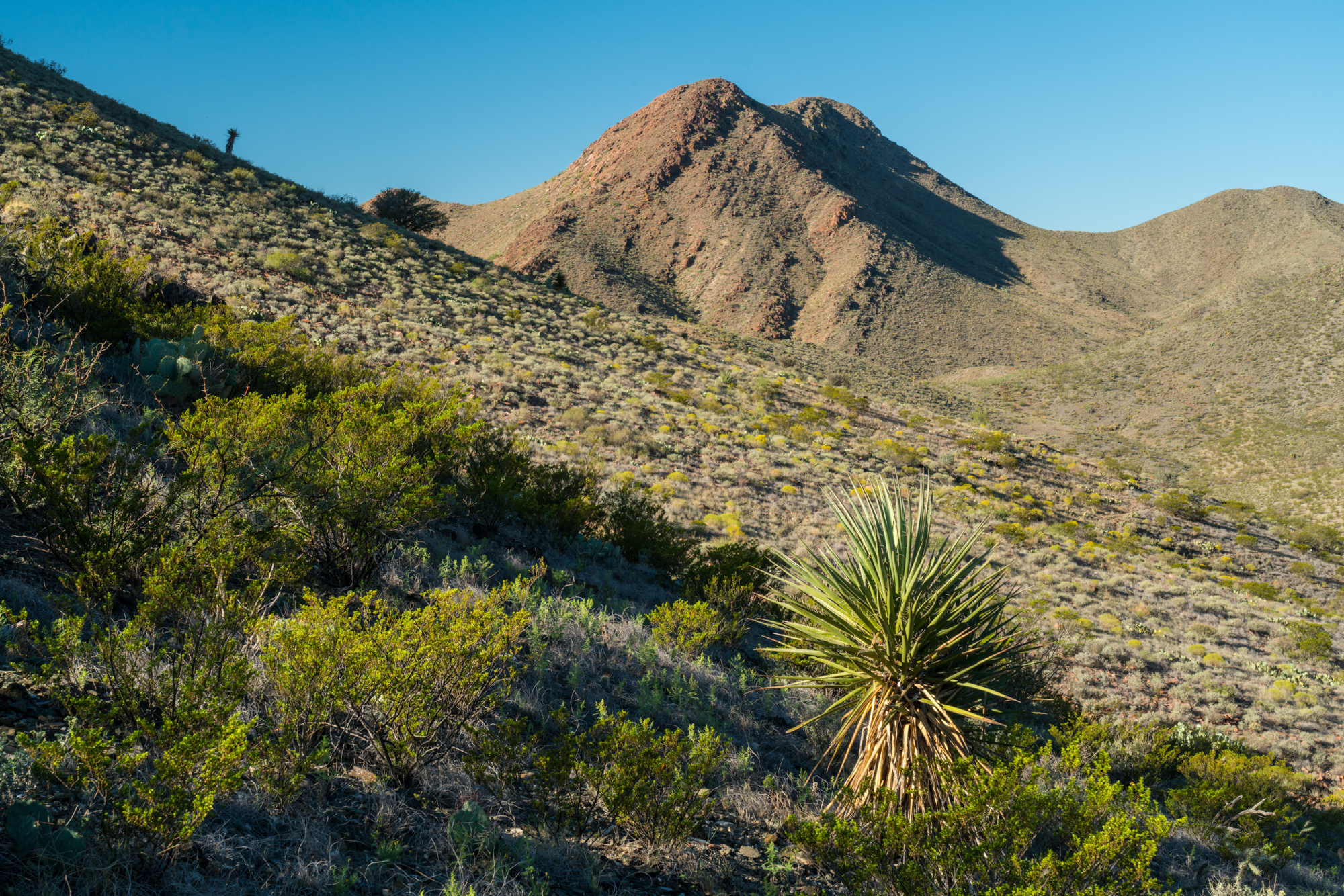 Eagle Mountain & Carrizo Mountain Ranches, photo 22