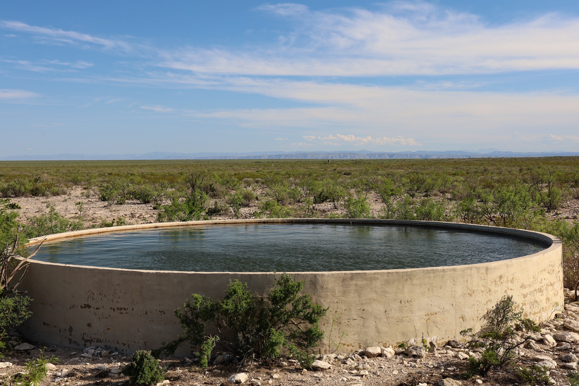 Terrell Airfield Ranch