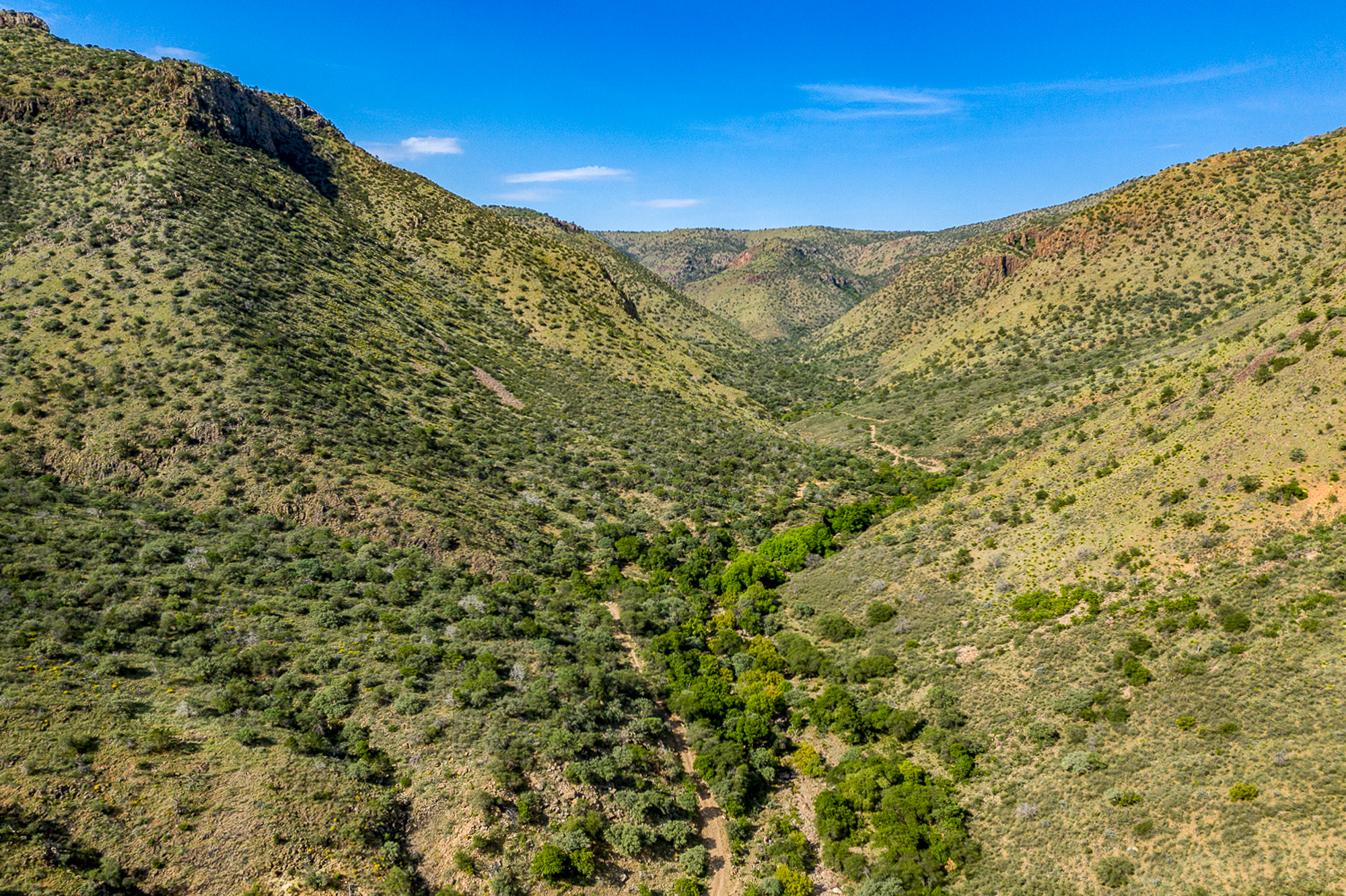 Fox Canyon Ranch, photo 10