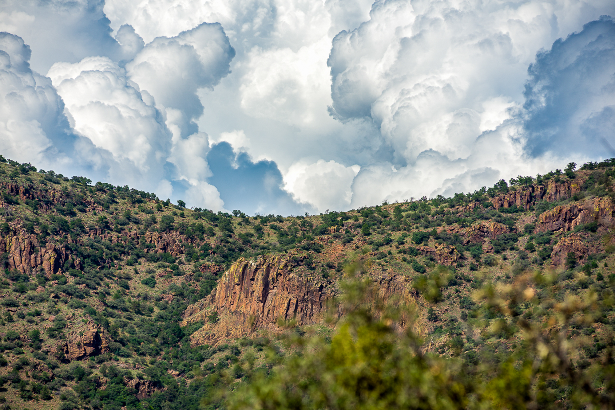 Fox Canyon Ranch, photo 12