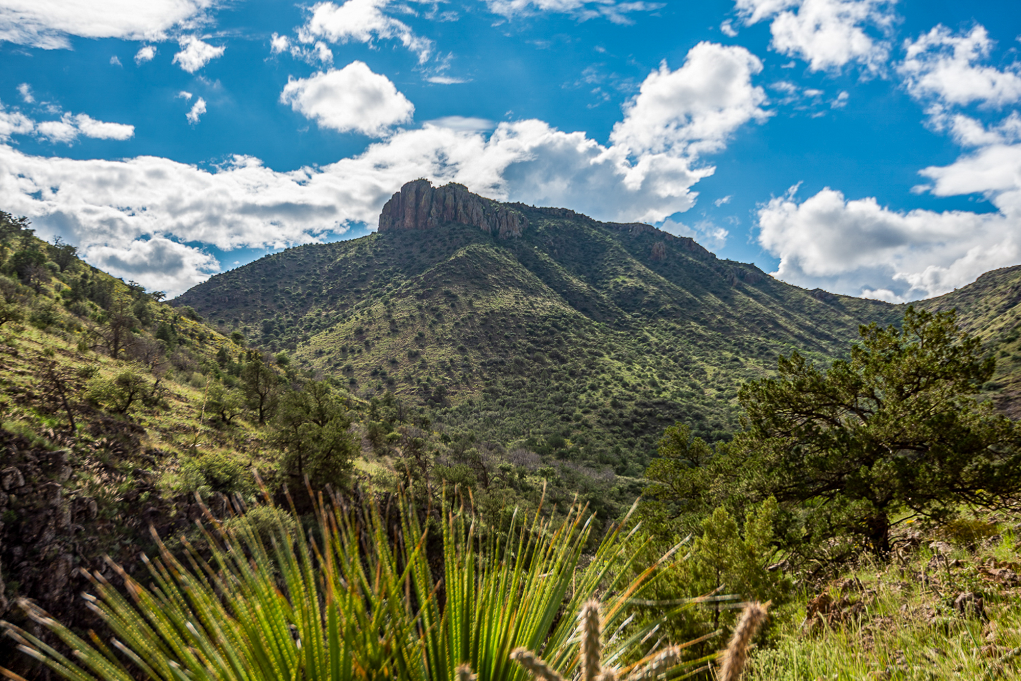Fox Canyon Ranch, photo 13