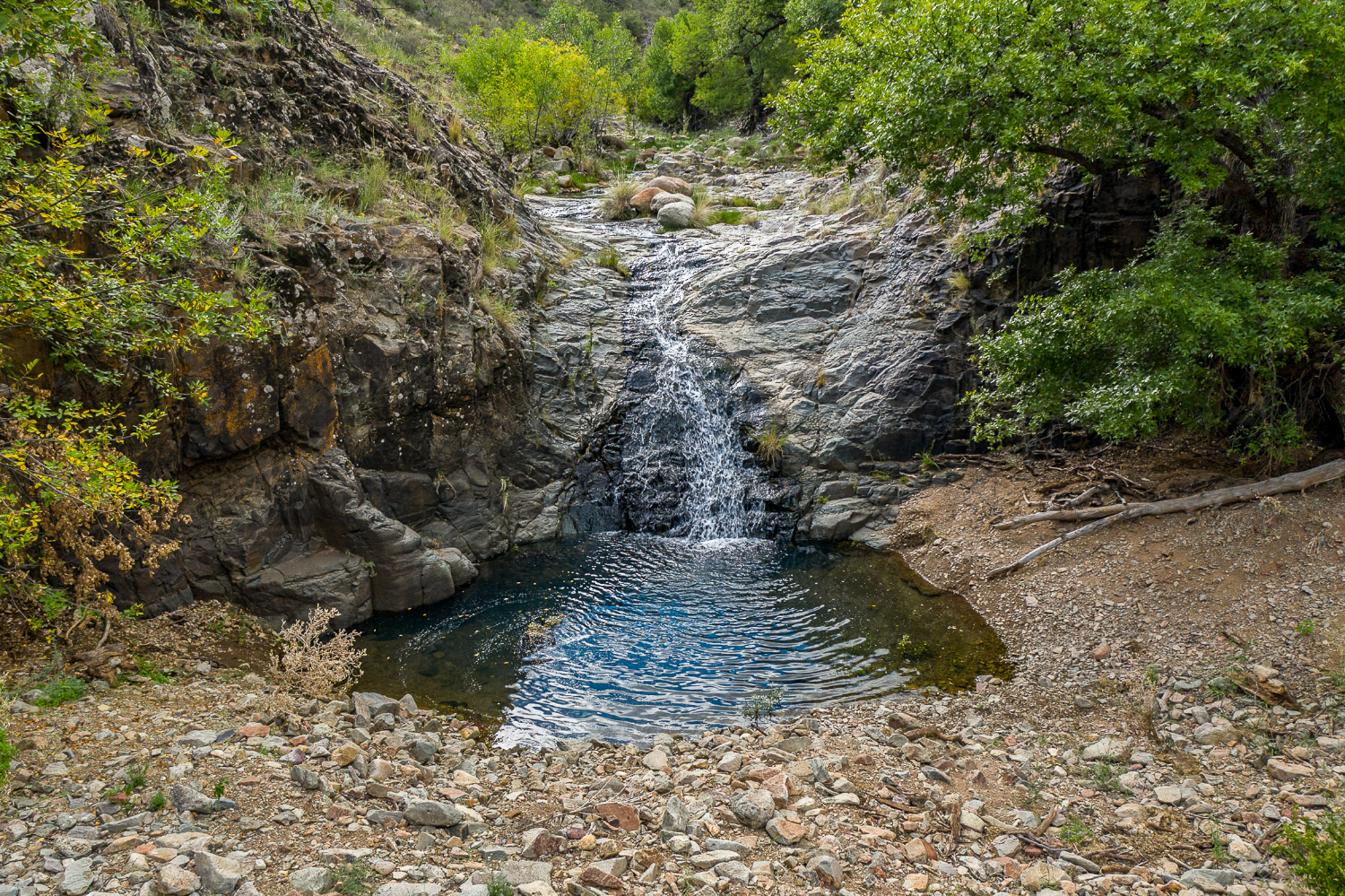 Fox Canyon Ranch, photo 21