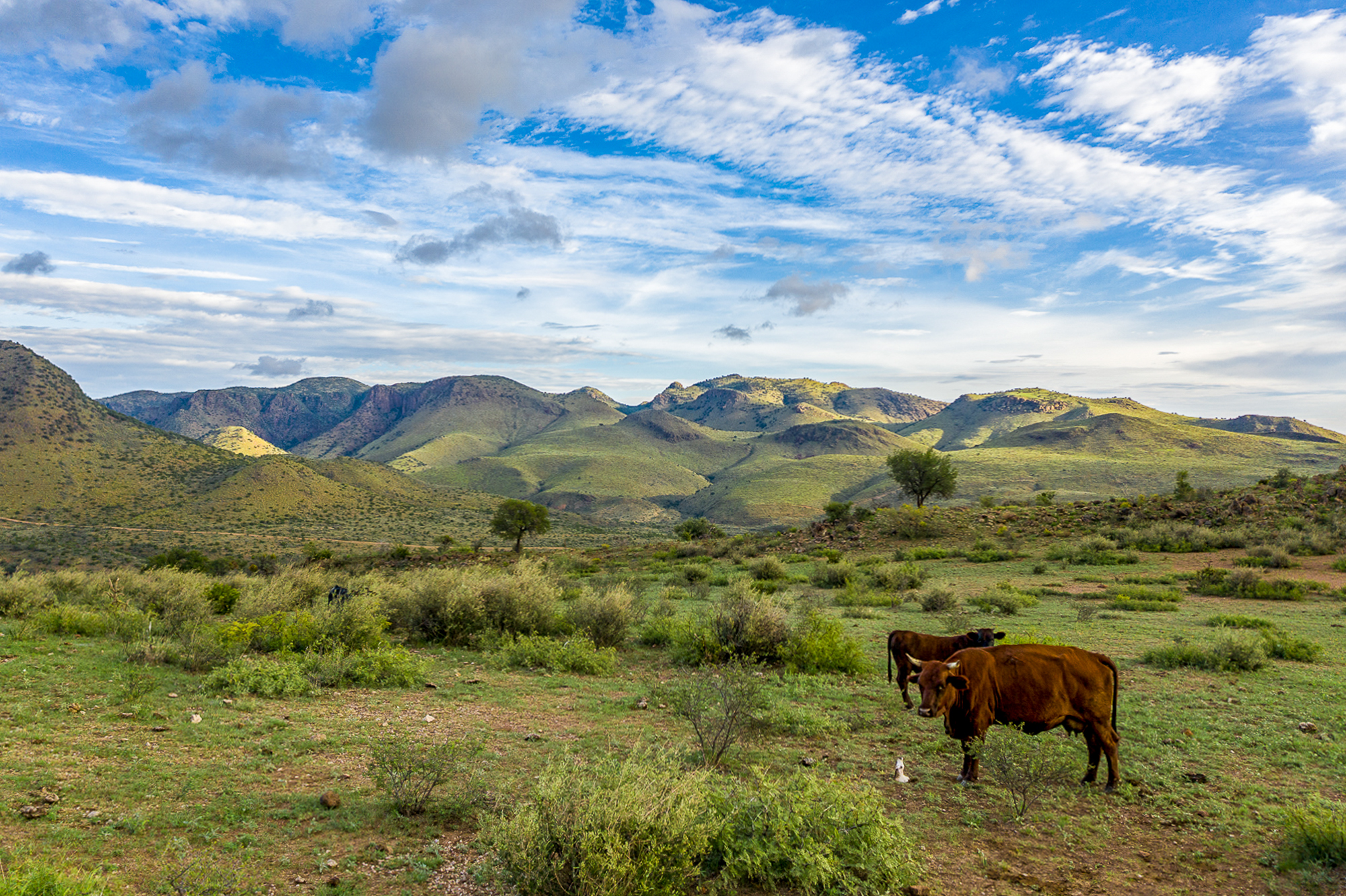 Fox Canyon Ranch, photo 30