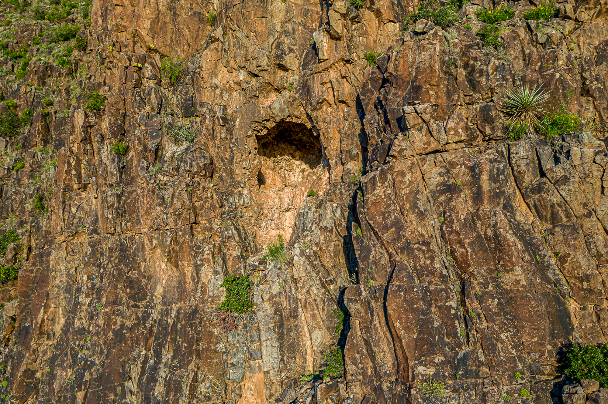 Fox Canyon Ranch, photo 32