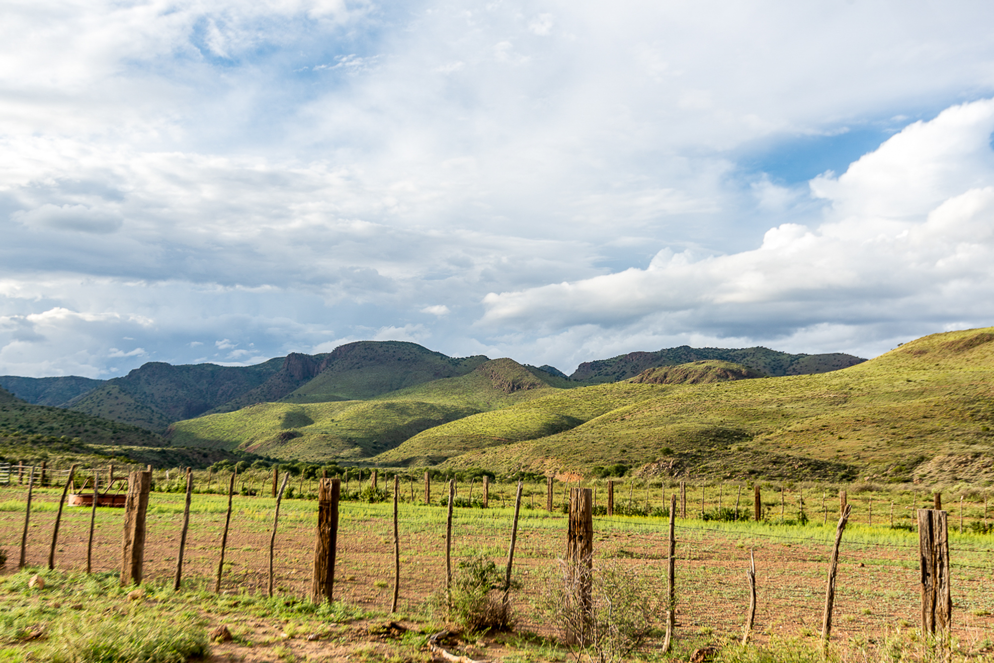 Fox Canyon Ranch, photo 4