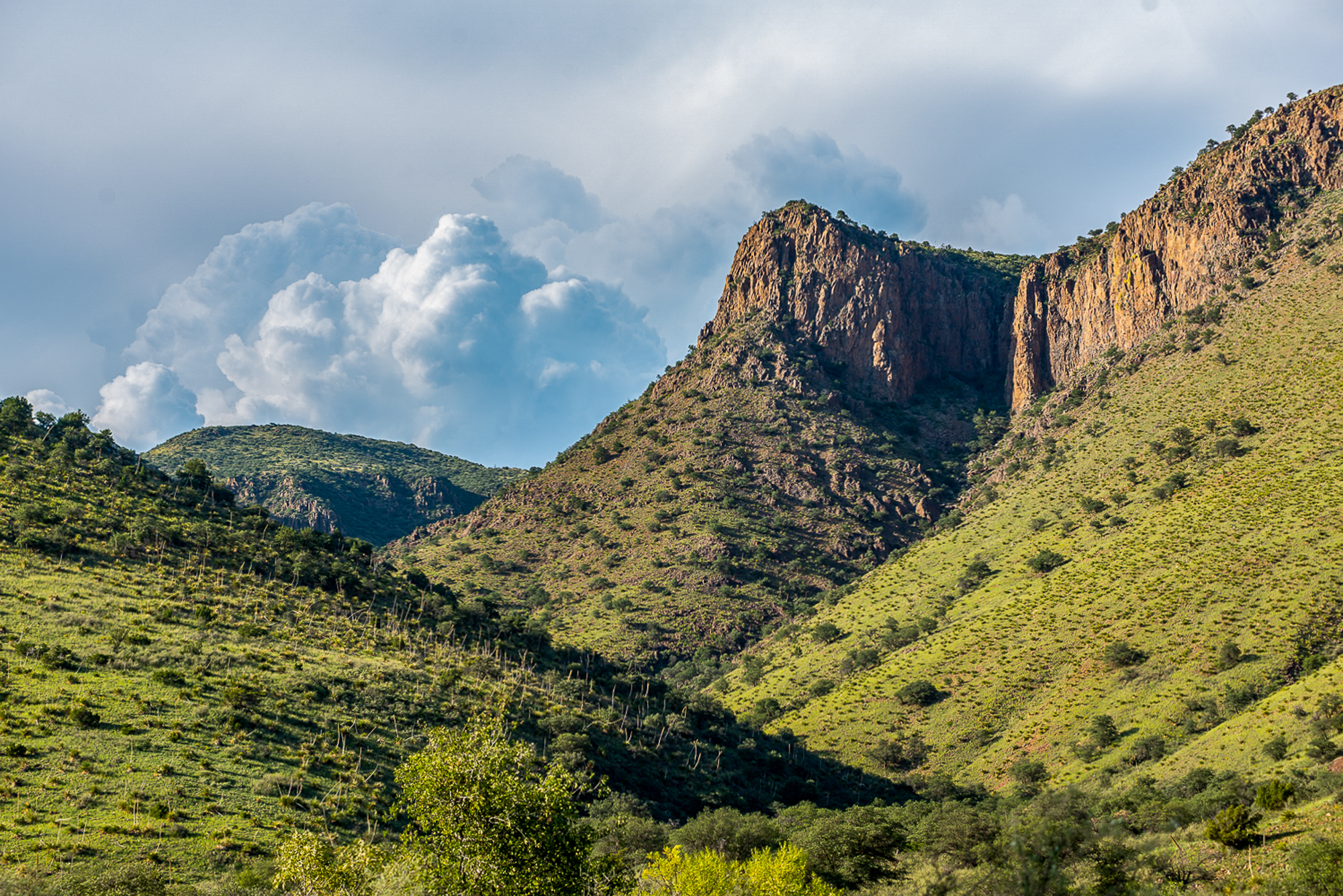 Fox Canyon Ranch, photo 8