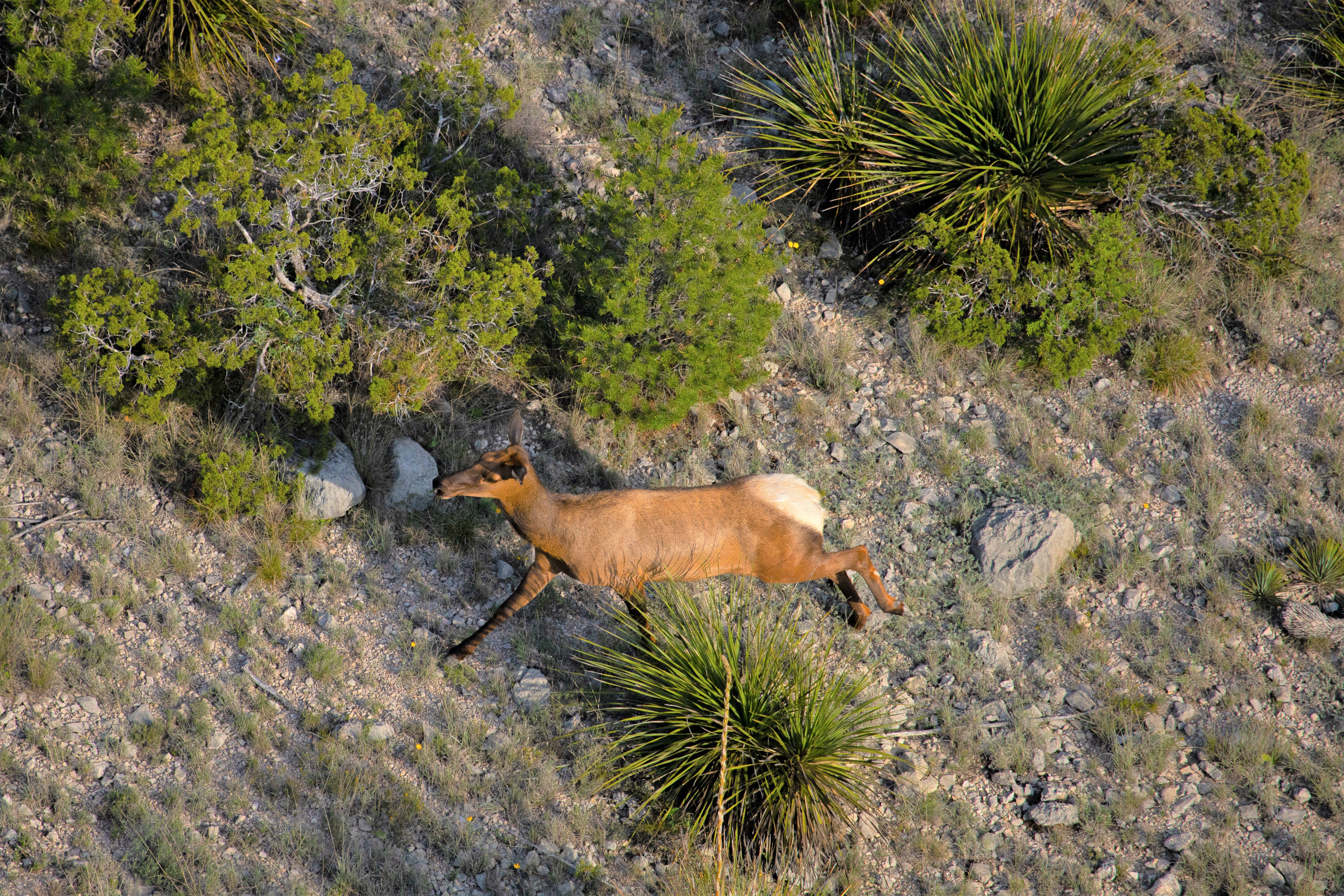 Brewster Ranch, photo 10