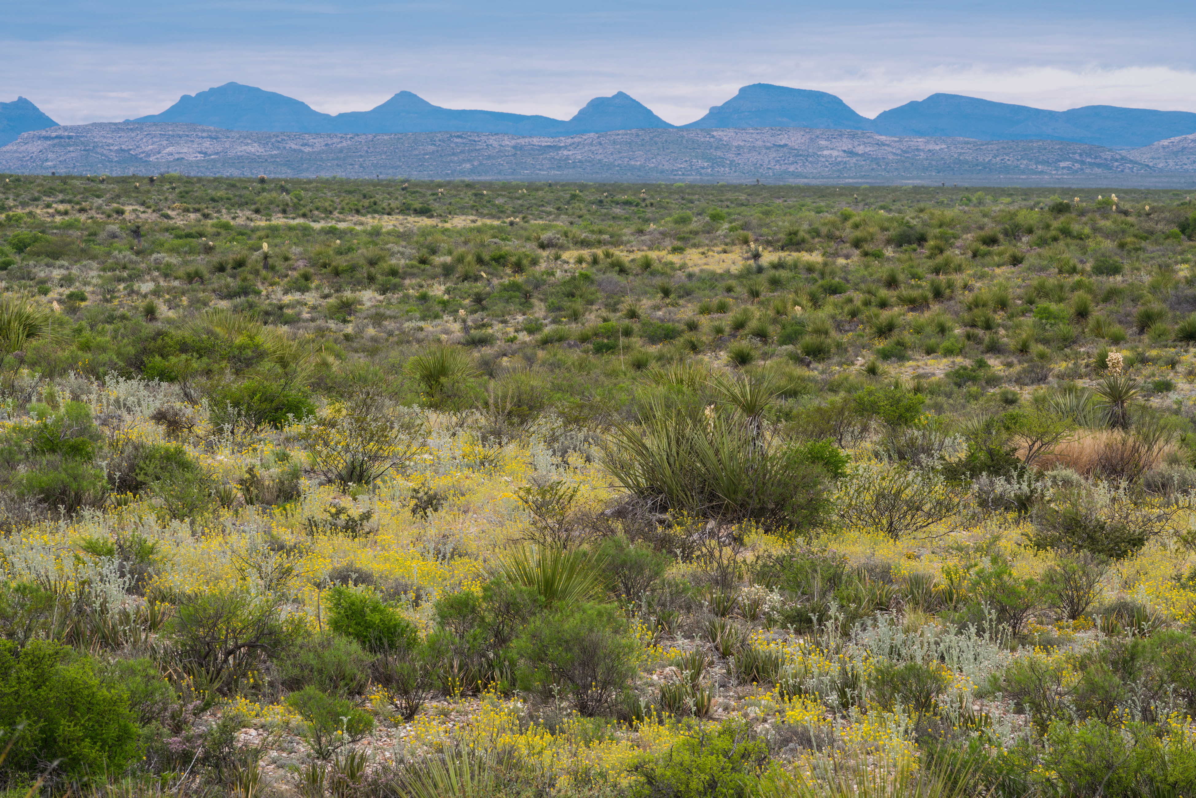 Brewster Ranch, photo 19