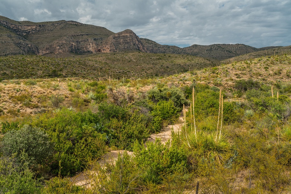 Brewster Ranch, photo 21