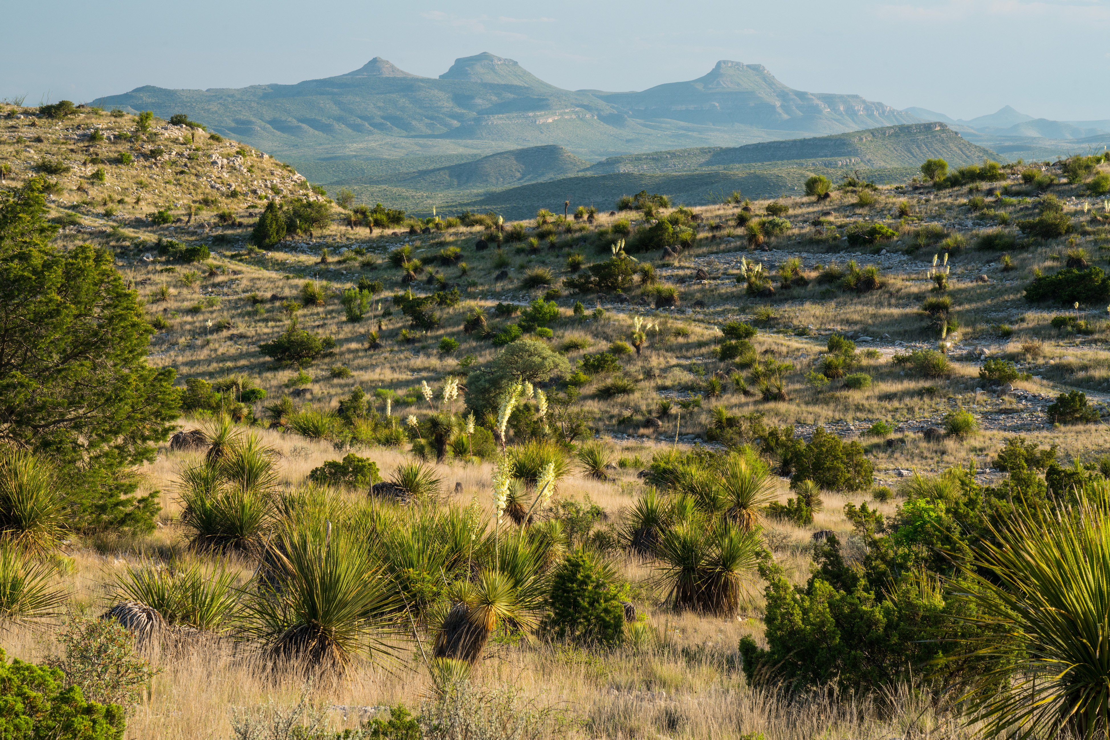 Brewster Ranch, photo 22