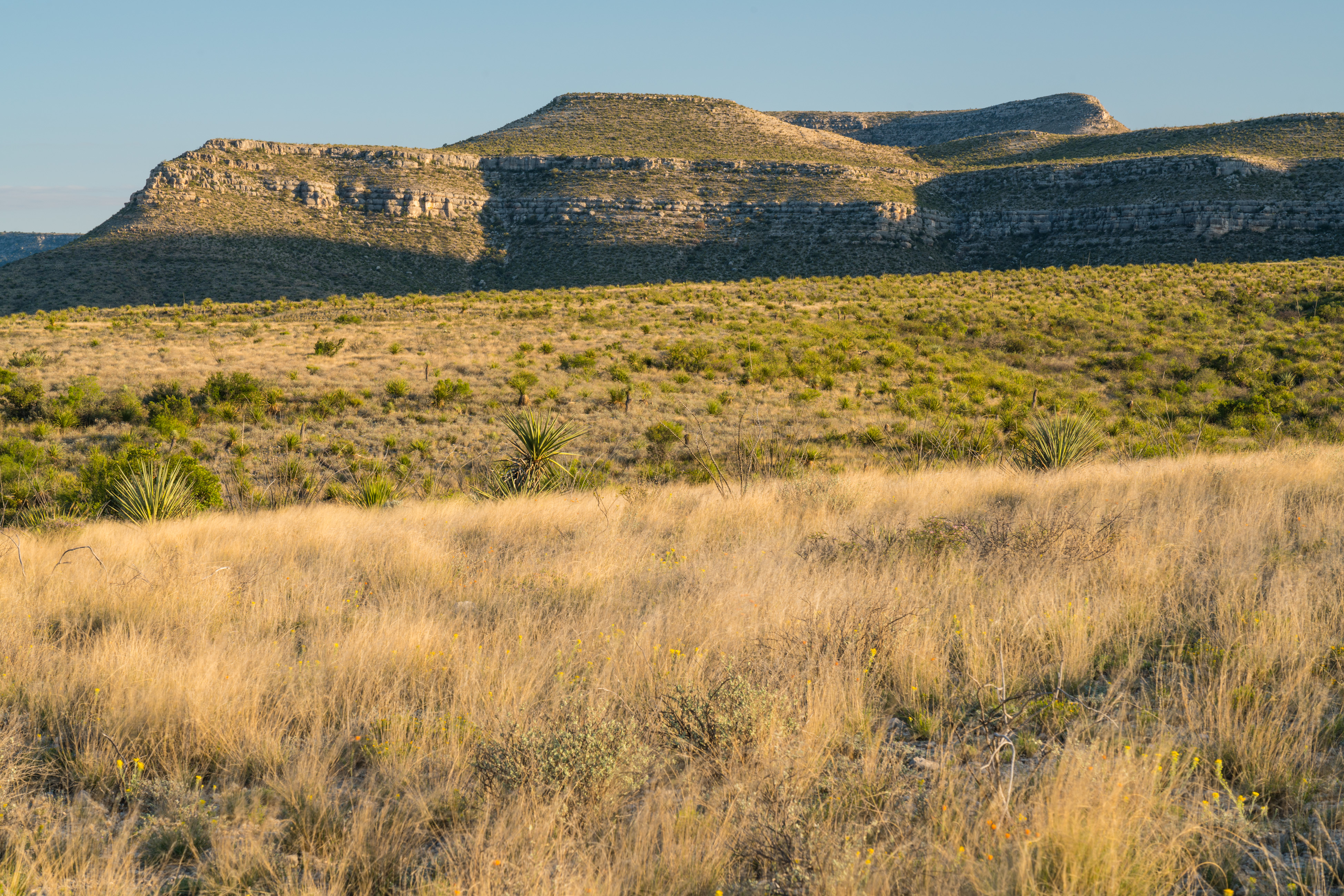 Brewster Ranch, photo 23