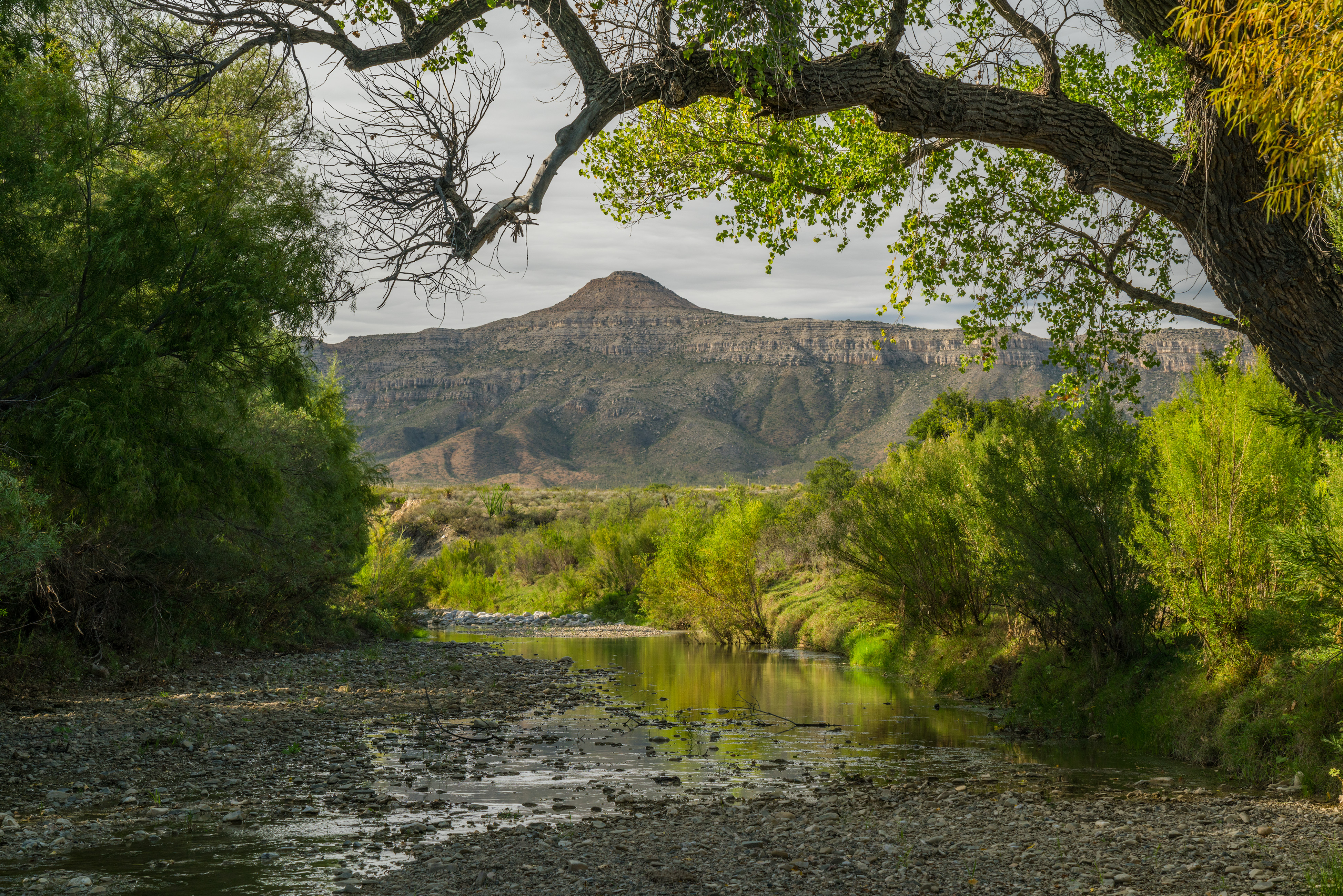 Brewster Ranch, photo 2