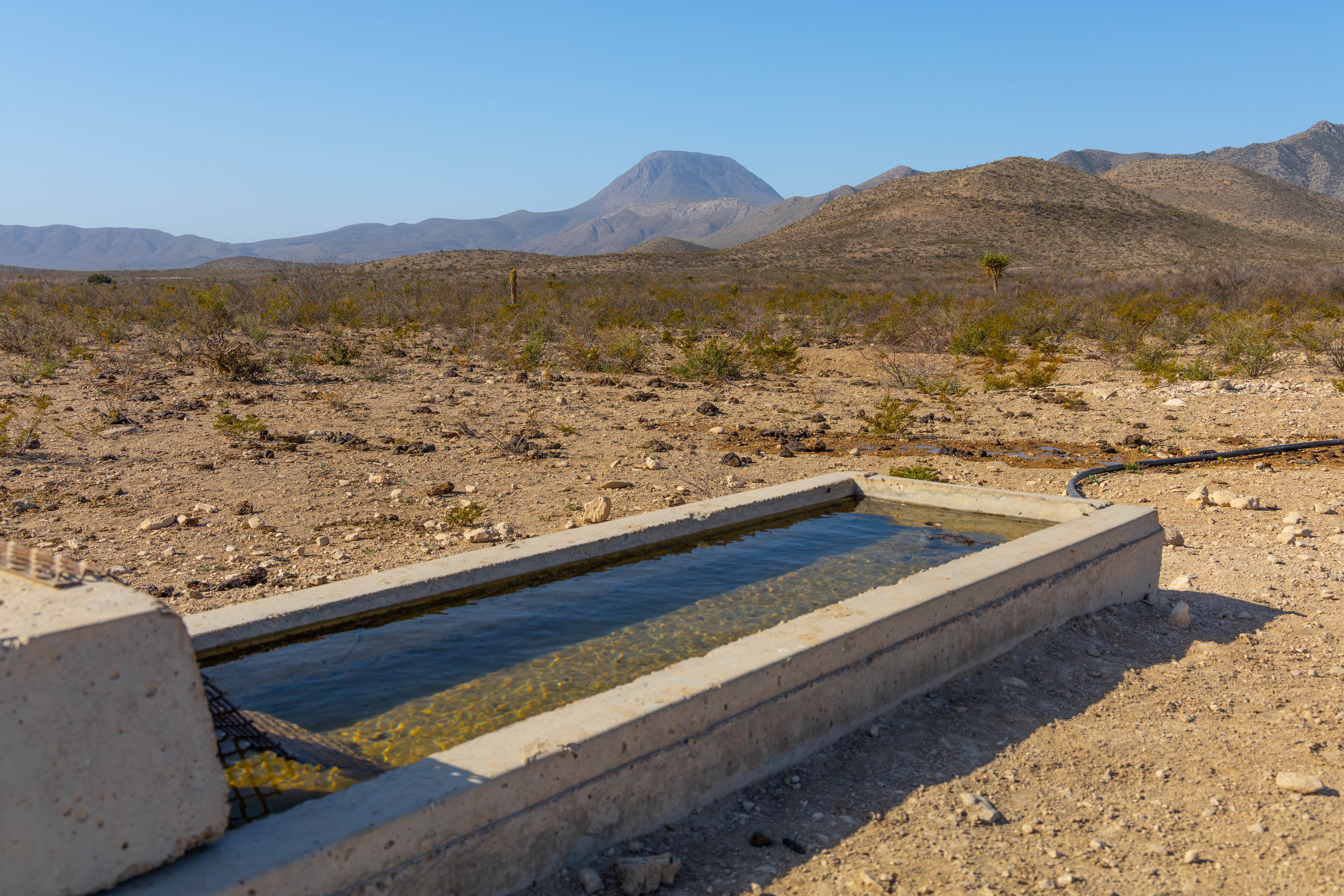 Brewster Ranch, photo 26