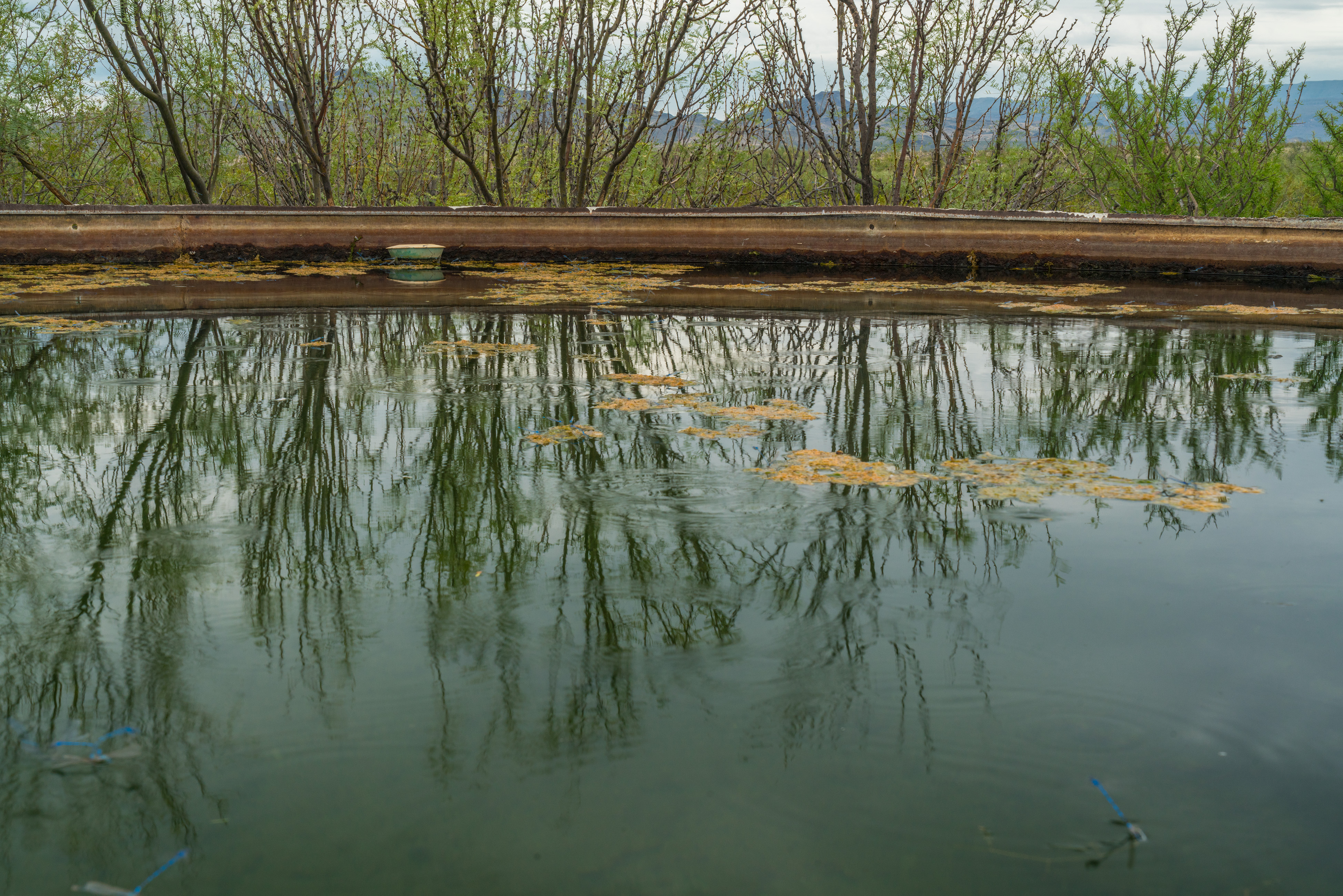 Brewster Ranch, photo 28