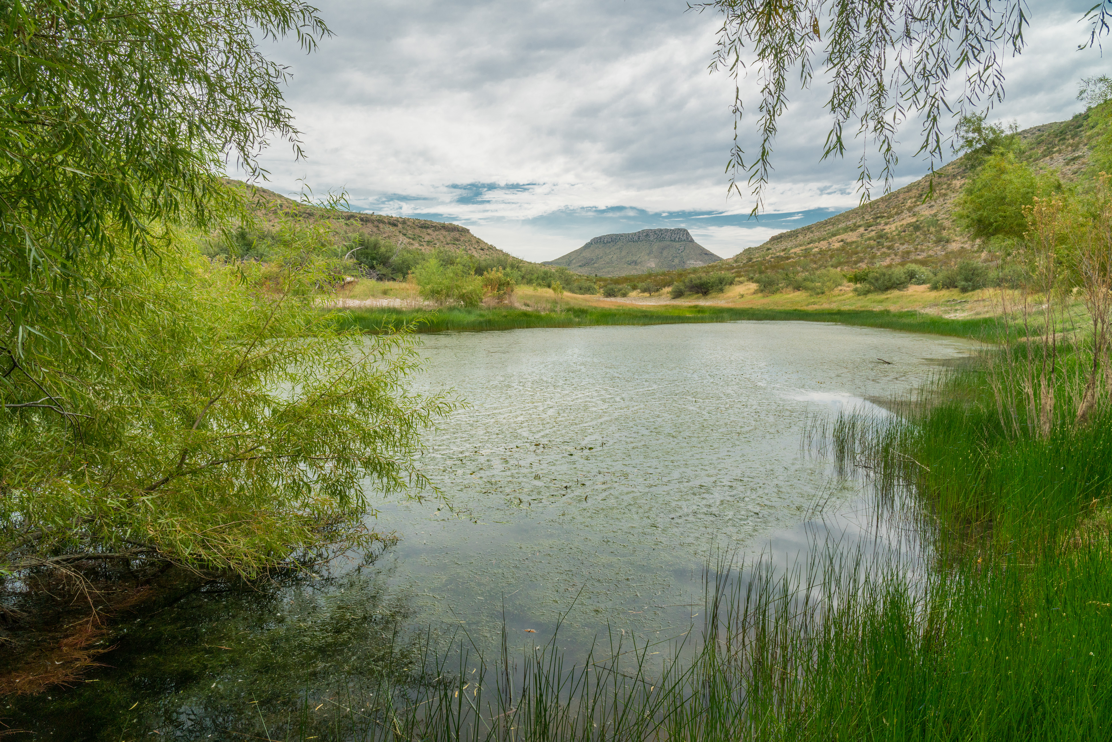 Brewster Ranch, photo 3